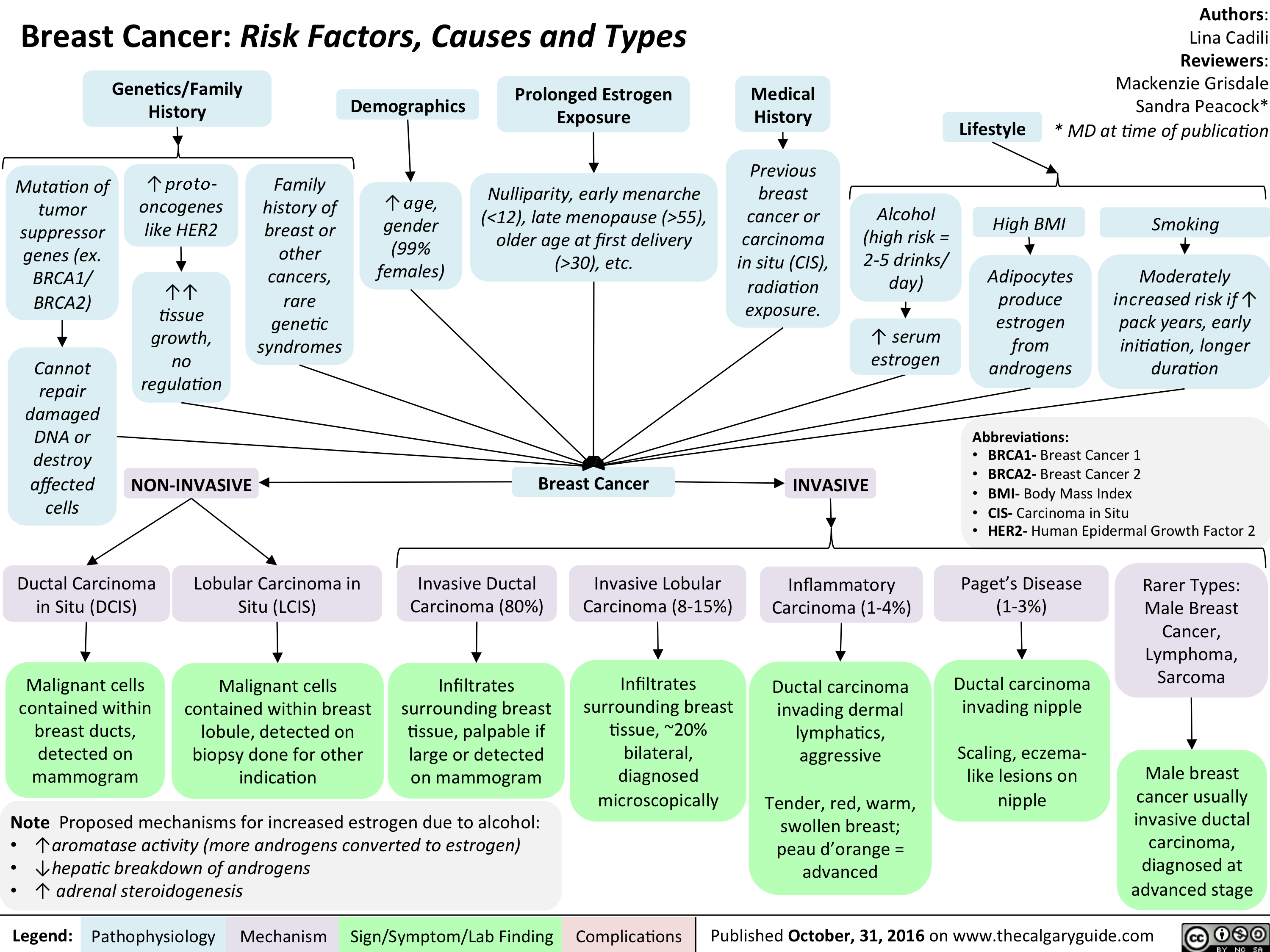 Breast Cancer Risk Factors Causes And Types Calgary Guide