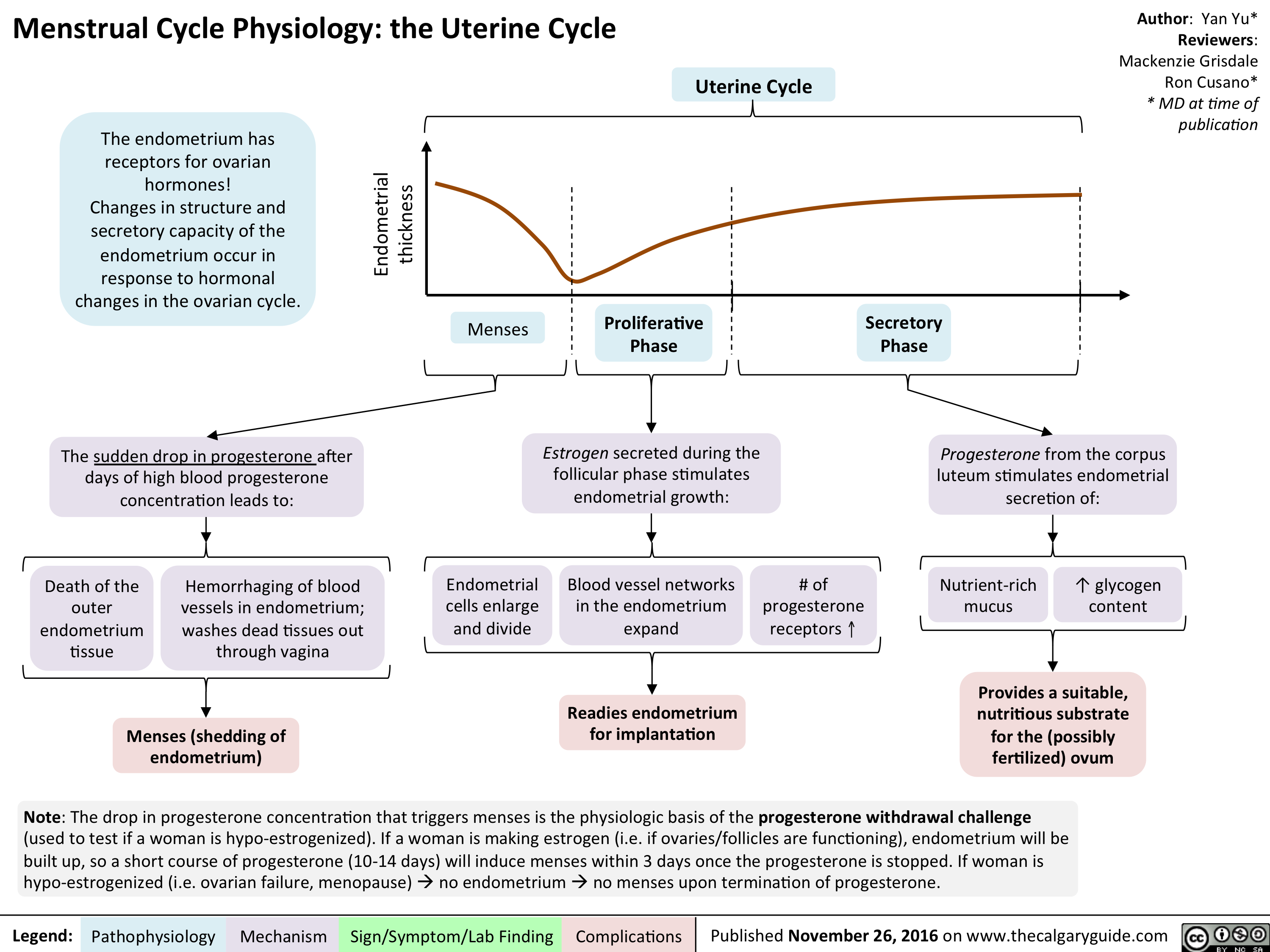 finalized-mg-rc-yy-menstrual-cycle-physiology