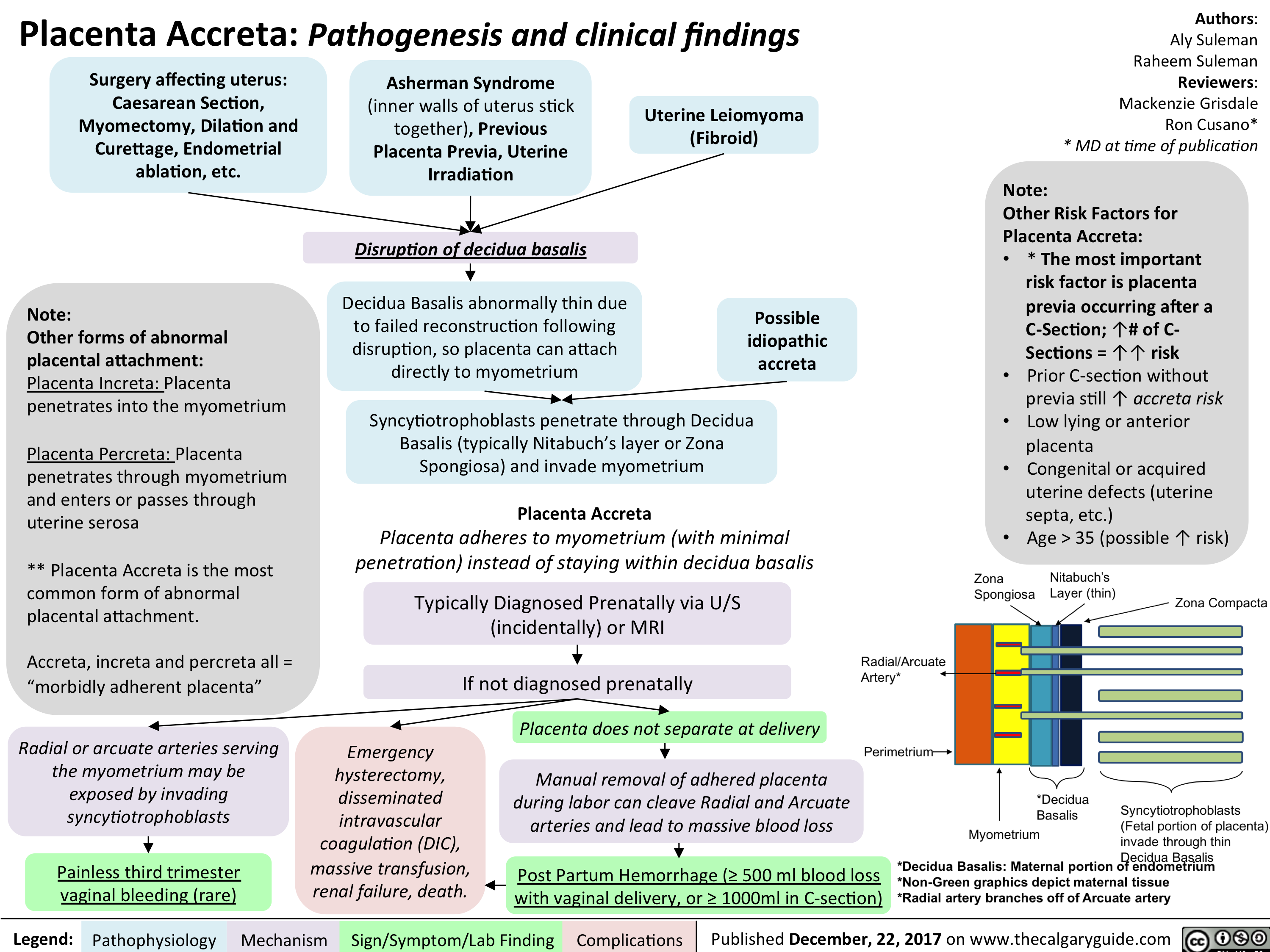 placenta-accreta-pathogenesis-and-clinical-findings-calgary-guide