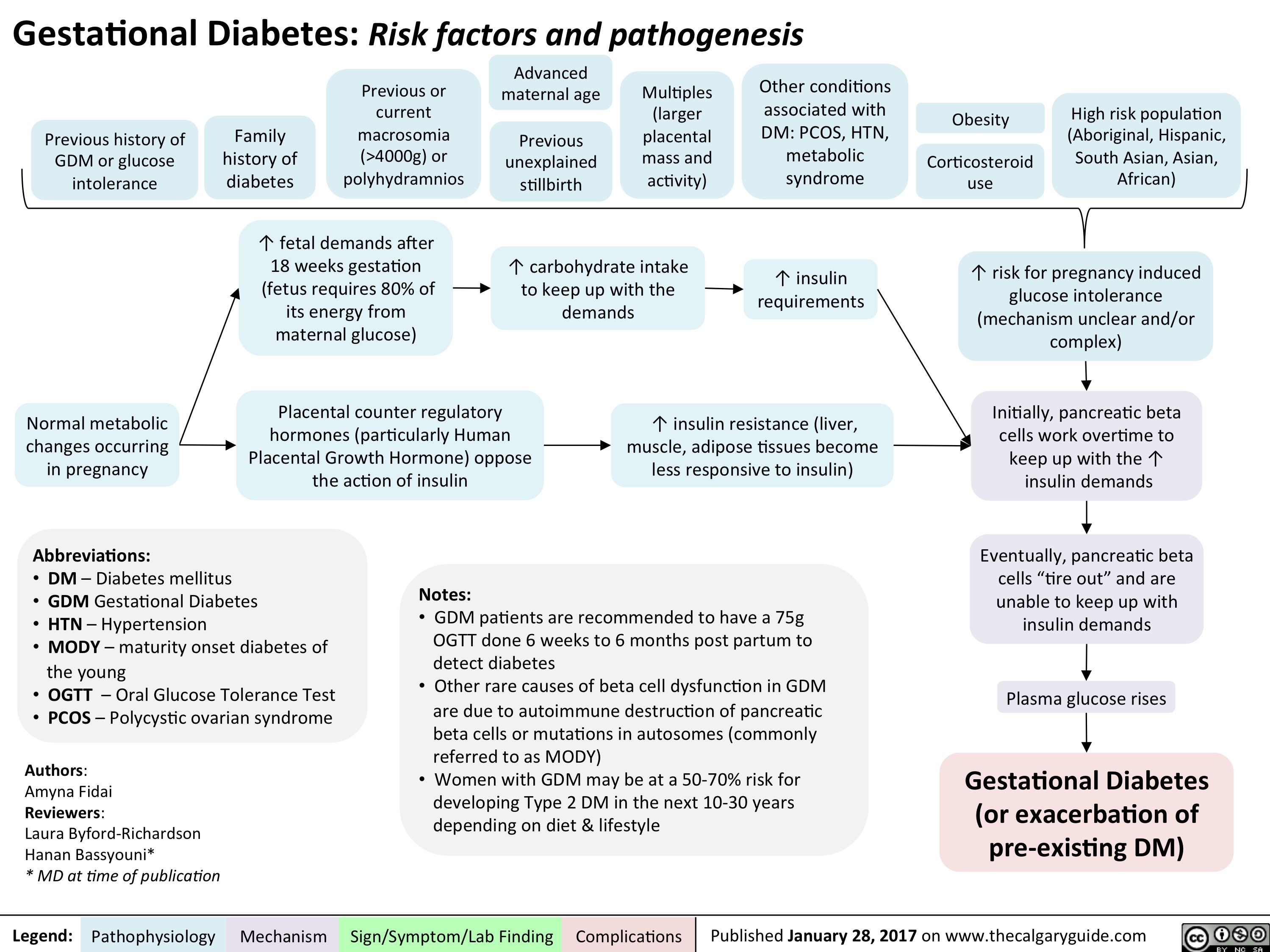 Gestational Diabetes Risk Factors And Pathogenesis Calgary Guide