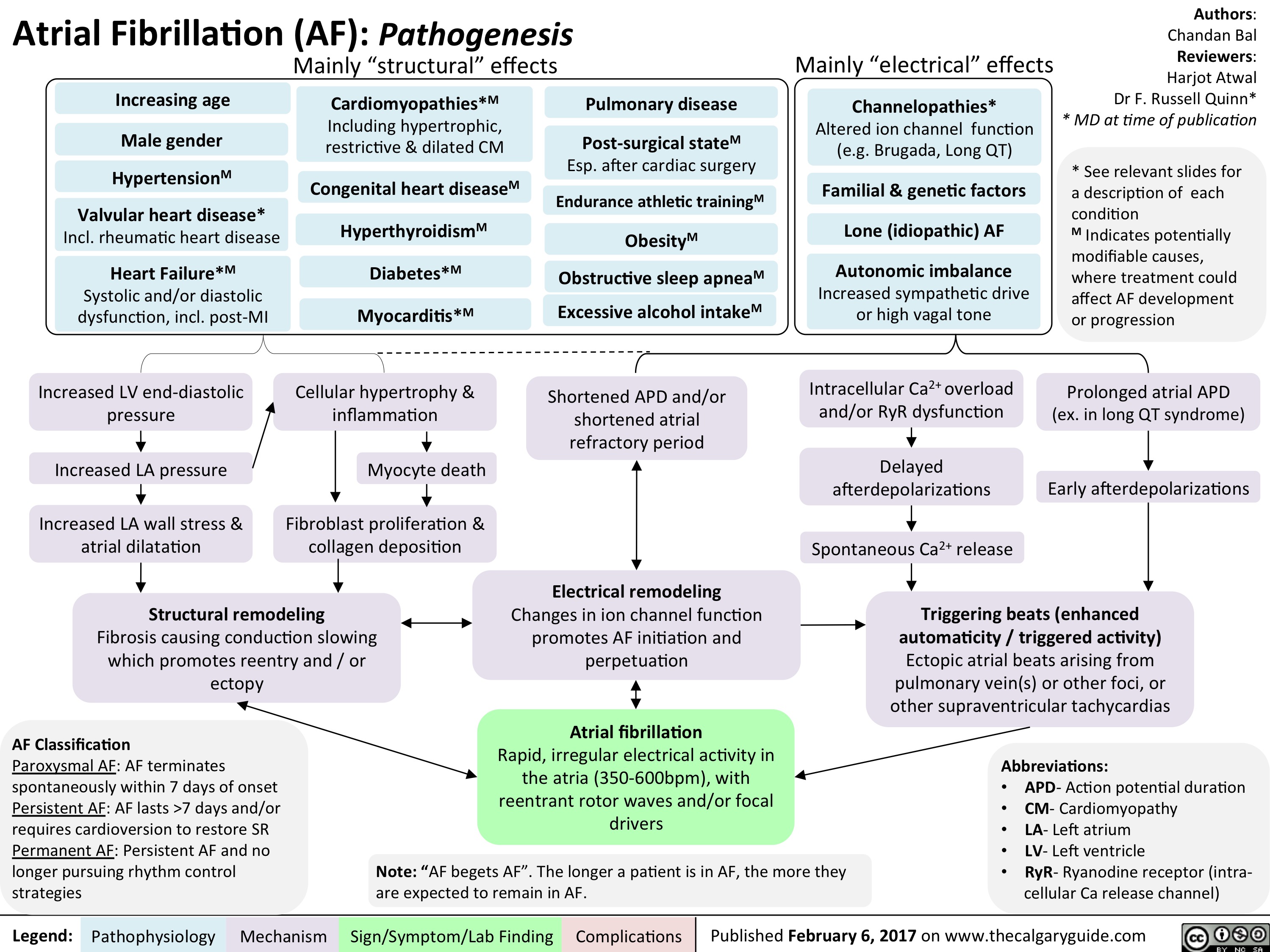 afib with rvr treatment