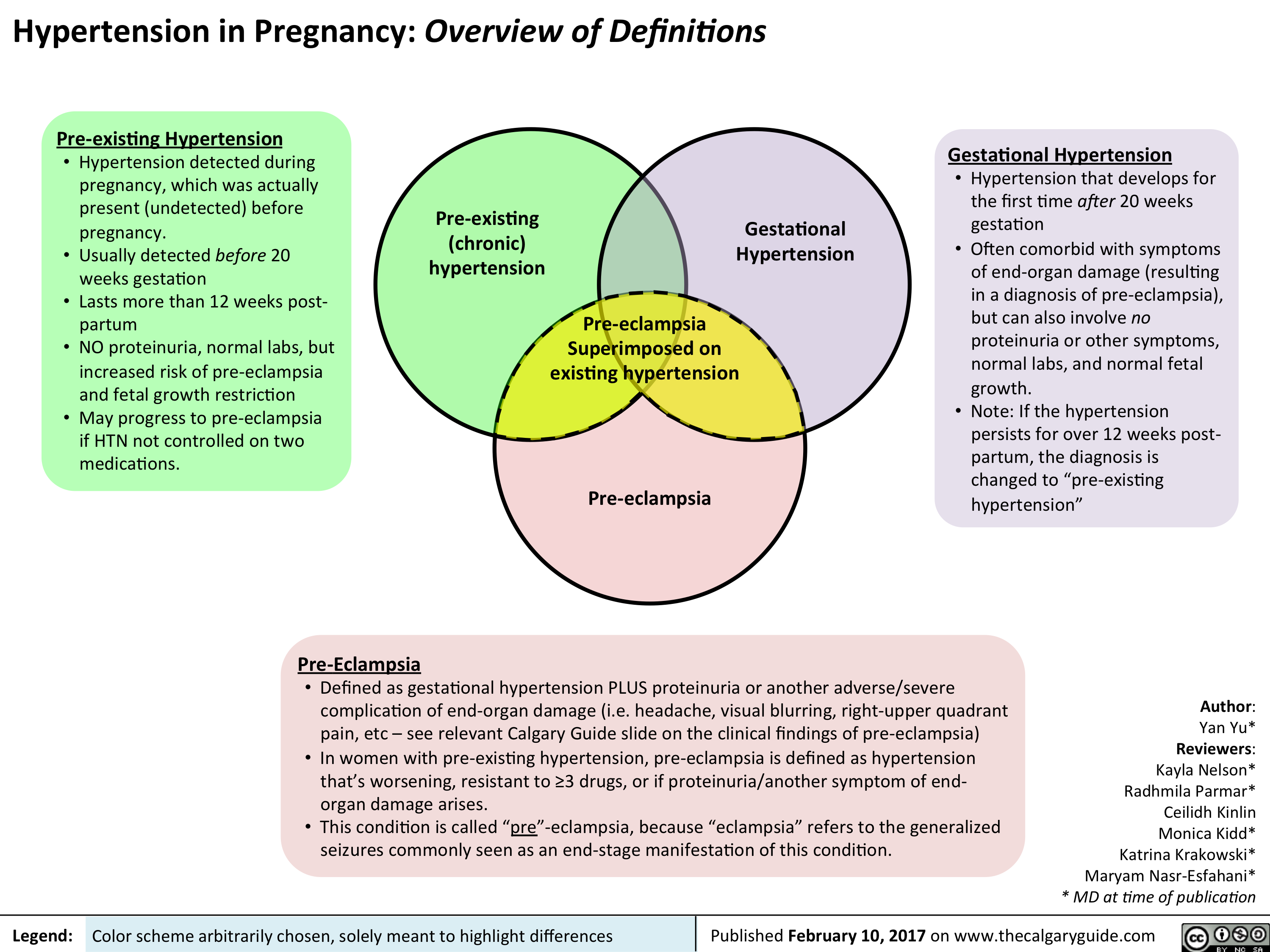 An Overview of Pregnancy