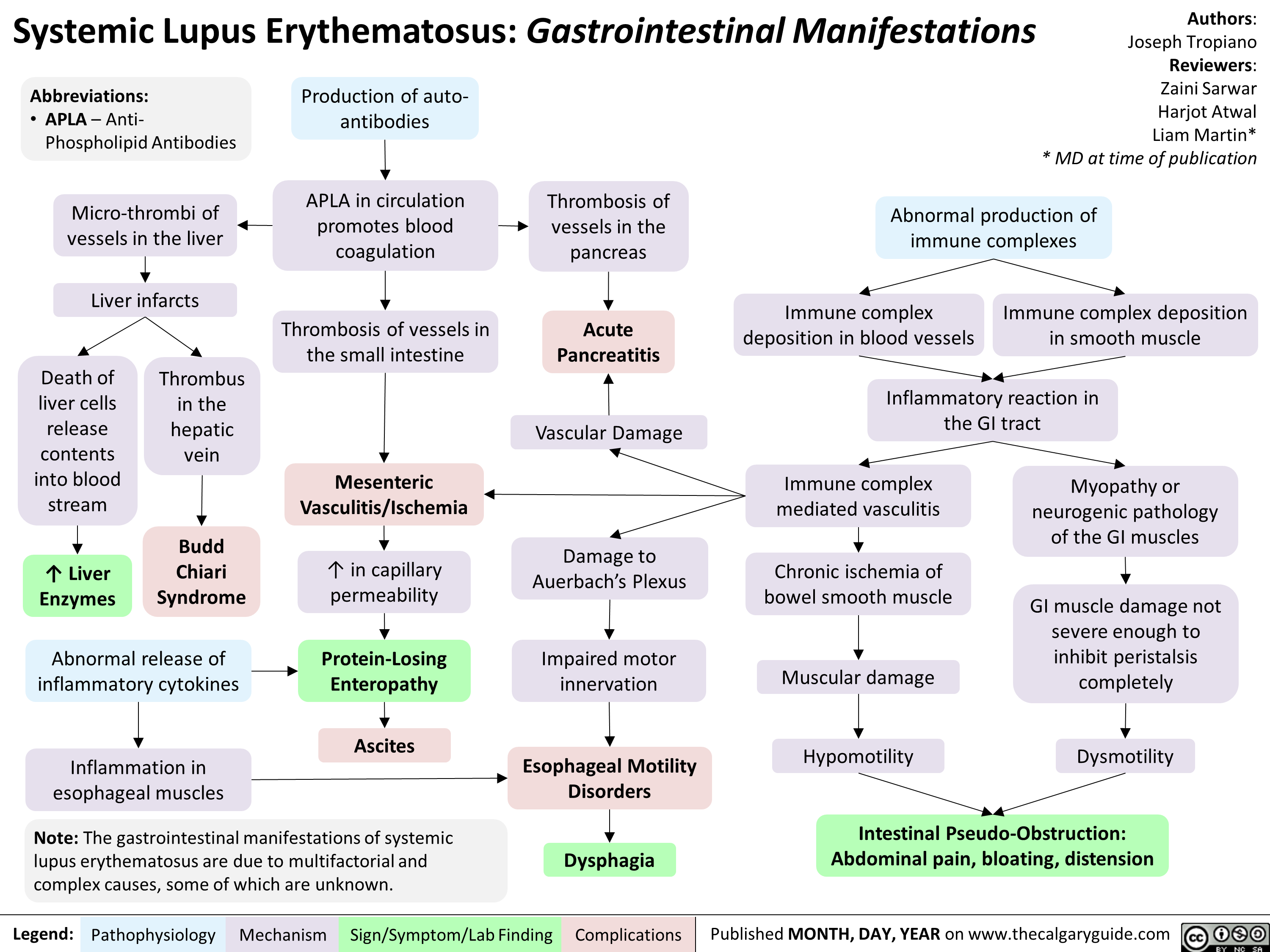 Systemic Lupus Erythematosus: Gastrointestinal Manifestations 
Abbreviations: • APLA Phospholipid — Anti-Antibodies 1— Production of auto-antibodies APLA in circulation promotes blood coagulation —01• Thrombosis of vessels in the pancreas Micro-thrombi of vessels in the liver Liver infarcts Thrombosis of vessels in the small intestine Acute Pancreatitis Death of liver cells release contents into blood stream Thrombus in the hepatic vein • Vascular Damage Mesenteric Vasculitis/Ischemia Budd Chiari Syndrome Damage to Auerbach's Plexus 11` Liver Enzymes 1` in capillary permeability 
Abnormal release of 
inflammatory cytokines 
1 
Inflammation in esophageal muscles 
Protein-Losing Enteropathy 
Ascites 
Note: The gastrointestinal manifestations of systemic lupus erythematosus are due to multifactorial and complex causes, some of which are unknown. 
Legend: Pathophysiology 
Mechanism 
Impaired motor innervation 
Authors: Joseph Tropiano Reviewers: Zaini Sarwar Harjot Atwal Liam Martin* * MD at time of publication 
Abnormal production of immune complexes 
Immune complex deposition in blood vessels 
Immune complex deposition in smooth muscle 
Inflammatory reaction in the GI tract 
Immune complex mediated vasculitis 
Chronic ischemia of bowel smooth muscle 
Muscular damage 

Myopathy or neurogenic pathology of the GI muscles 
GI muscle damage not severe enough to inhibit peristalsis completely 
Esophageal Motility Disorders 
Dysphagia 
Sign/Symptom/Lab Finding 
Complications 

Hypomotility 
Dysmotility 
