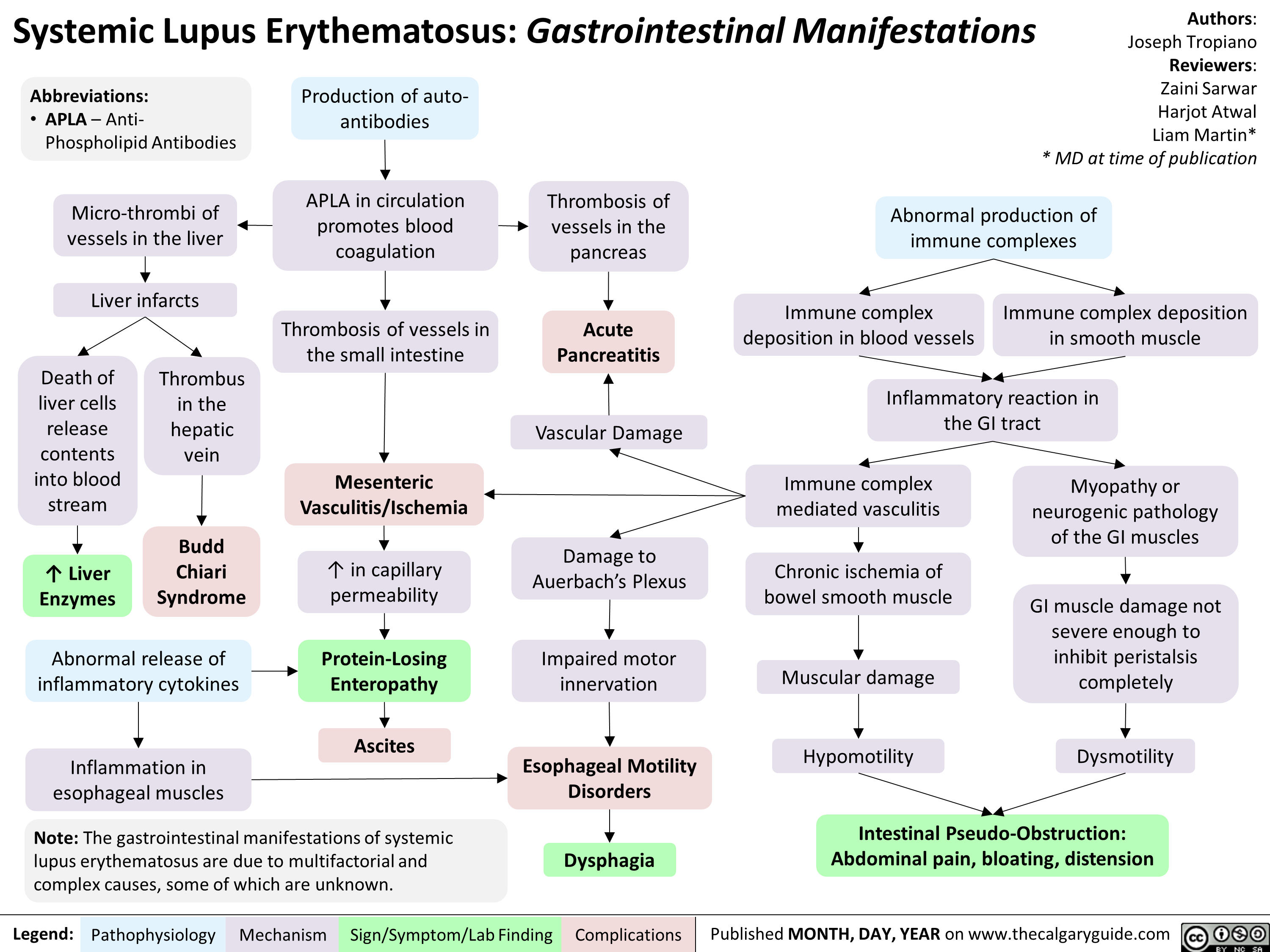 systemic-lupus-erythematosus-gastrointestinal-manifestations-calgary