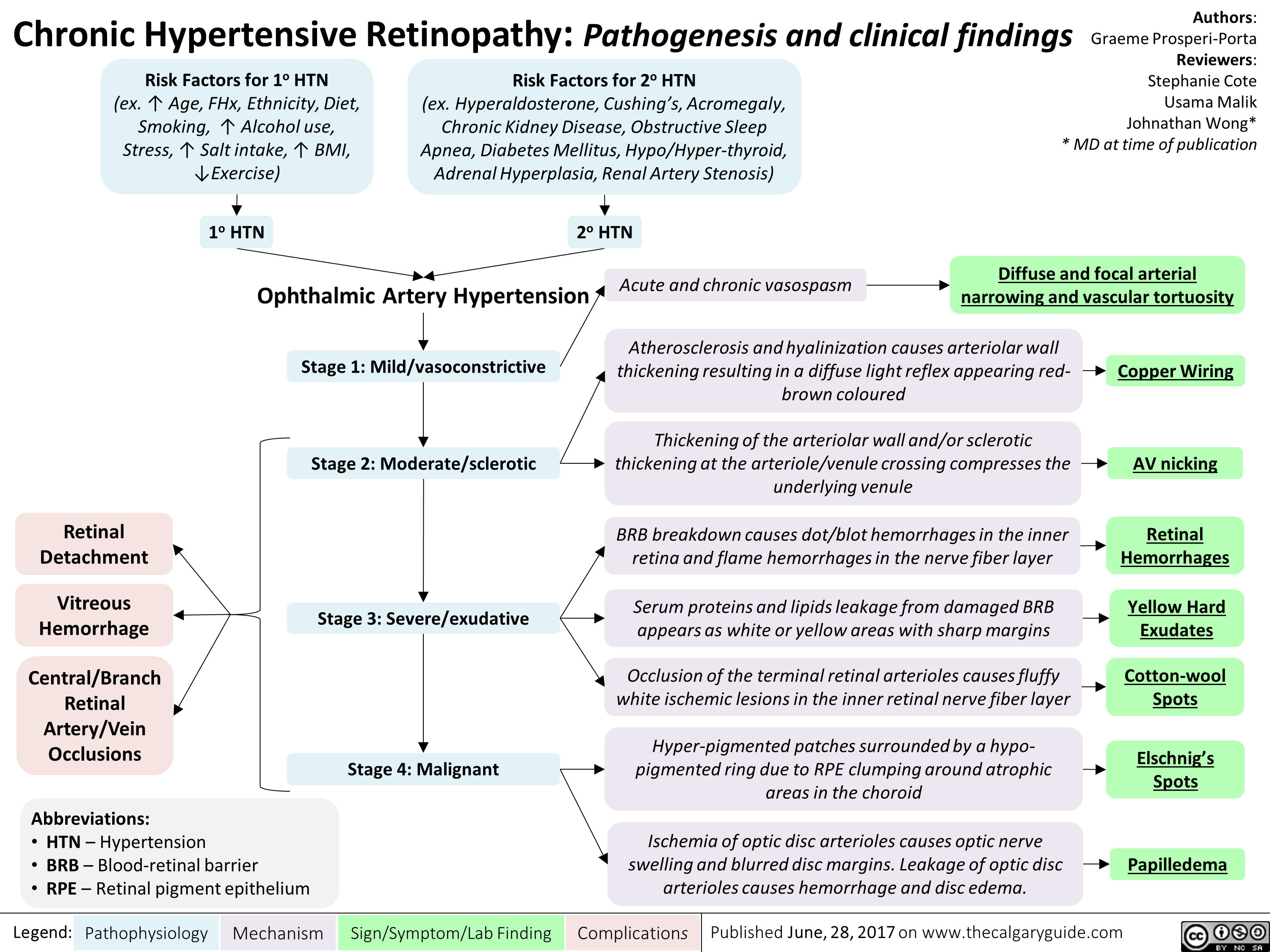 Chronic Kidney Disease Calgary Guide