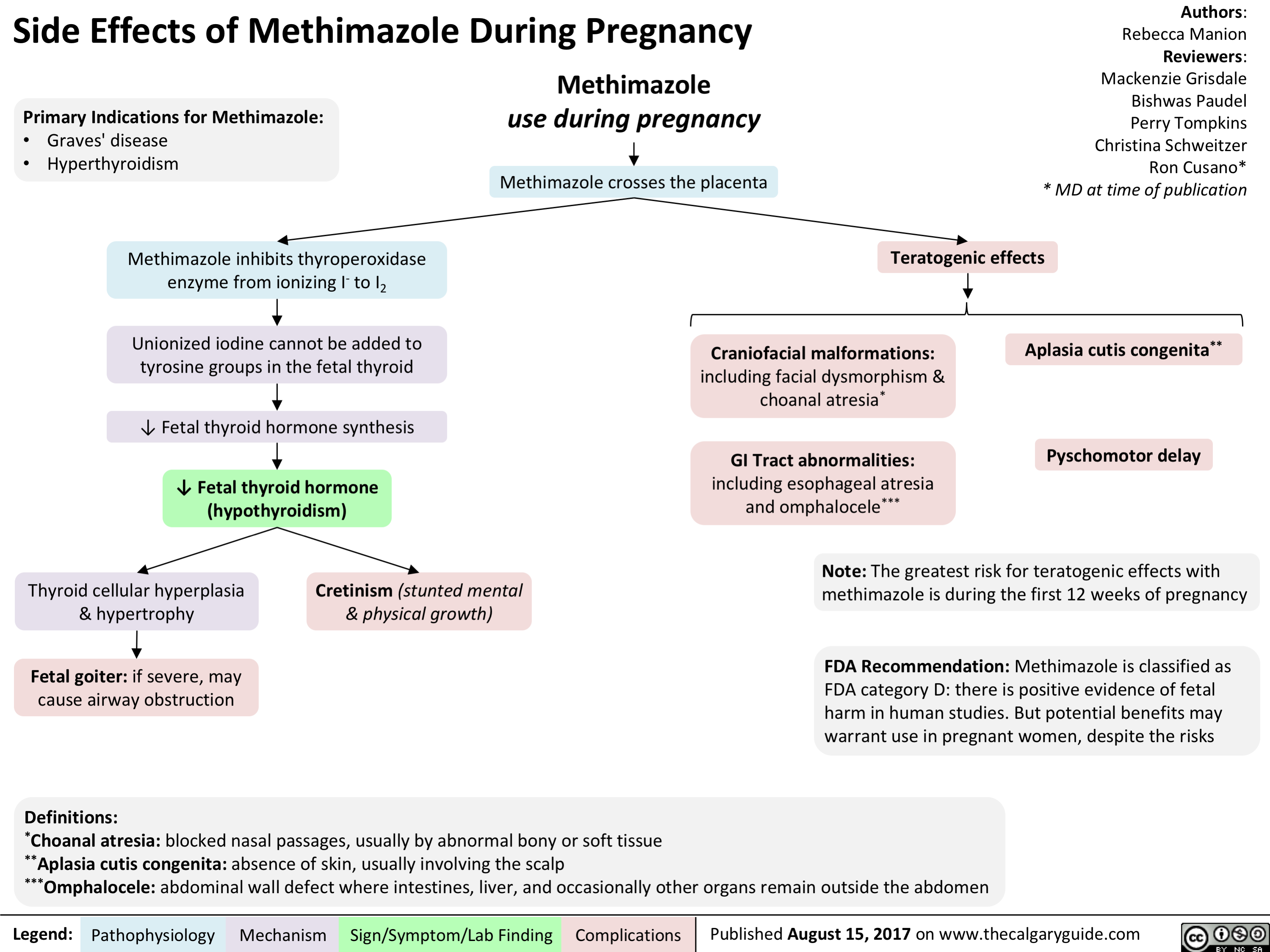 Side Effects Of Methimazole During Pregnancy Calgary Guide