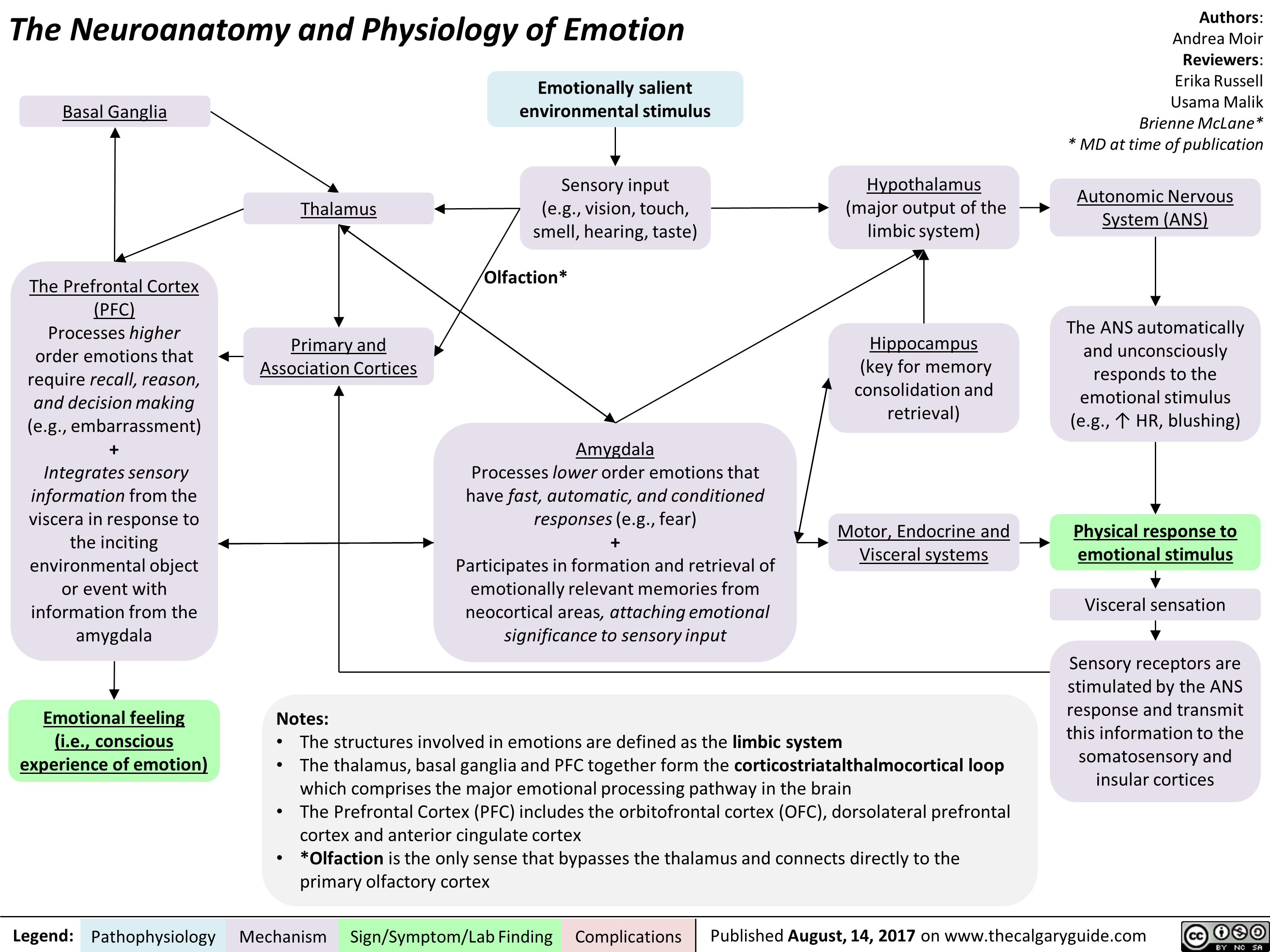 The Neuroanatomy and Physiology of Emotion 
Basal Ganglia • 
The Prefrontal Cortex  (PFC)  Processes higher order emotions that 1— require recall, reason, and decision making (e.g., embarrassment) Integrates sensory information from the viscera in response to the inciting •  
environmental object or event with information from the amygdala 
Emotional feeling  (i.e., conscious  experience of emotion) 
Thalamus 
Emotionally salient environmental stimulus 

Sensory input (e.g., vision, touch, smell, hearing, taste) 
Hypothalamus   ► (major output of the limbic system) 
Olfaction* 

Primary and  Association Cortices • 
Amygdala  Processes lower order emotions that have fast, automatic, and conditioned responses (e.g., fear) Participates in formation and retrieval of emotionally relevant memories from neocortical areas, attaching emotional significance to sensory input 
Hippocampus  (key for memory consolidation and retrieval) 
► Motor, Endocrine and Visceral systems 
Notes: • The structures involved in emotions are defined as the limbic system • The thalamus, basal ganglia and PFC together form the corticostriatalthalmocortical loop which comprises the major emotional processing pathway in the brain • The Prefrontal Cortex (PFC) includes the orbitofrontal cortex (OFC), dorsolateral prefrontal cortex and anterior cingulate cortex • *Olfaction is the only sense that bypasses the thalamus and connects directly to the primary olfactory cortex 
Legend: Pathophysiology Mechanism 
Sign/Symptom/Lab Finding 
Authors: Andrea Moir Reviewers: Erika Russell Usama Malik Brienne McLane* * MD at time of publication 
Autonomic Nervous System (ANS)  
The ANS automatically and unconsciously responds to the emotional stimulus (e.g., 11` HR, blushing) 
Physical response to emotional stimulus  Visceral sensation 
Sensory receptors are stimulated by the ANS response and transmit this information to the somatosensory and insular cortices 