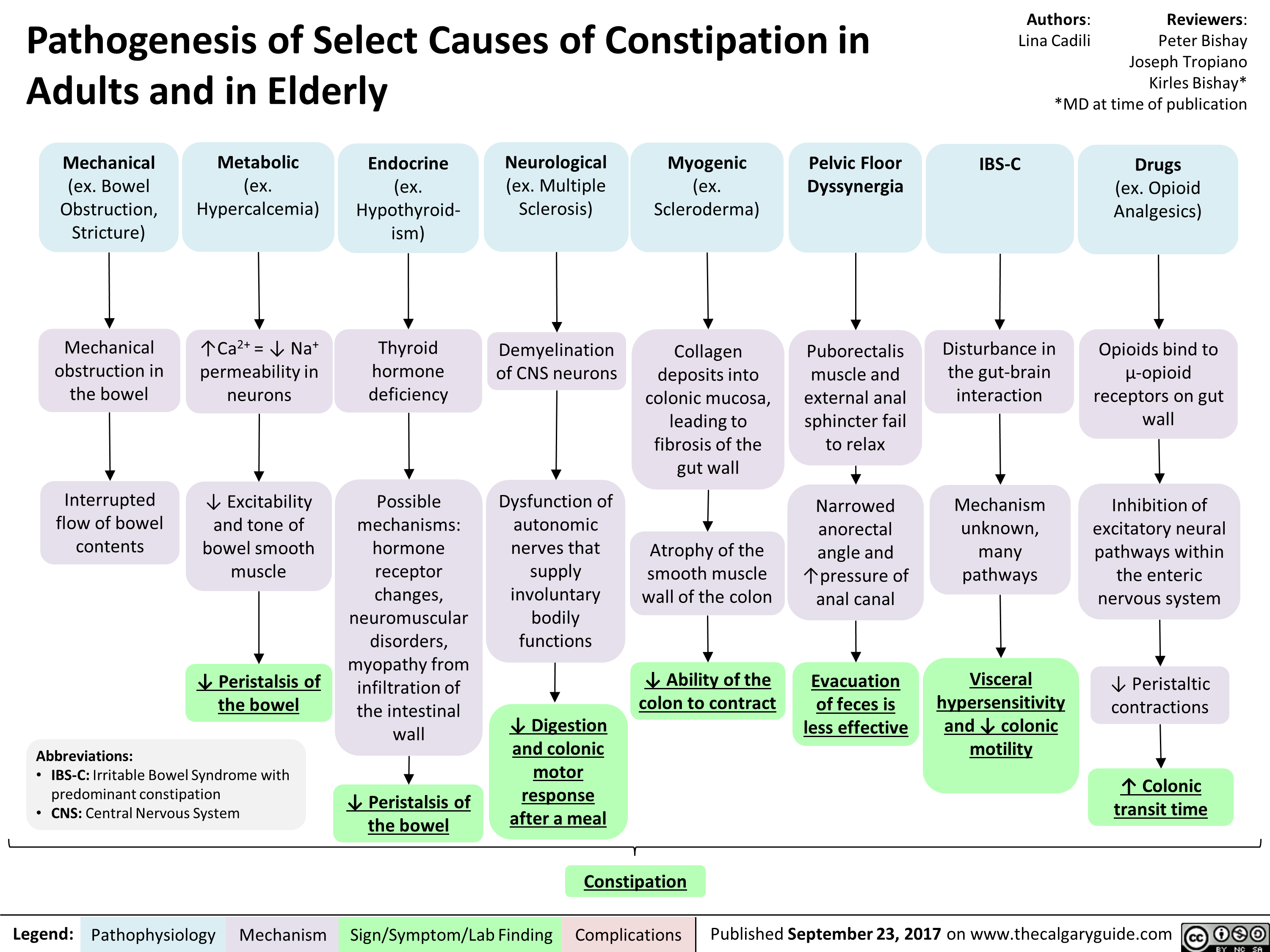 Pathogenesis of Select Causes of Constipation in Adults and in Elderly 
Authors: Reviewers: Lina Cadili Peter Bishay Joseph Tropiano Kirles Bishay* *MD at time of publication 
Mechanical Metabolic Endocrine Neurological Myogenic Pelvic Floor IBS-C Drugs (ex. Bowel (ex. (ex. (ex. Multiple (ex. Dyssynergia (ex. Opioid Obstruction, Stricture) Hypercalcemia) Hypothyroid-ism) Sclerosis) Scleroderma) Analgesics) 
Mechanical I`Ca2+ = 4, Na+ Thyroid Demyelination Collagen Puborectalis Disturbance in obstruction in permeability in hormone of CNS neurons deposits into muscle and the gut-brain the bowel neurons deficiency colonic mucosa, leading to external anal sphincter fail interaction fibrosis of the gut wall to relax Interrupted 4, Excitability Possible Dysfunction of Narrowed Mechanism flow of bowel contents and tone of bowel smooth mechanisms: hormone autonomic nerves that anorectal angle and unknown, many Atrophy of the muscle receptor supply smooth muscle '`pressure of pathways changes, involuntary wall of the colon anal canal neuromuscular disorders, myopathy from bodily functions 1, Peristalsis of infiltration of 4, Ability of the Evacuation Visceral the bowel colon to contract of feces is hypersensitivity Abbreviations: the intestinal wall 4, Digestion less effective and 4, colonic and colonic motility motor • IBS-C: Irritable Bowel Syndrome with predominant constipation • CNS: Central Nervous System 4, Peristalsis of response after a meal the bowel  
Opioids bind to Lt-opioid receptors on gut wall 
Inhibition of excitatory neural pathways within the enteric nervous system 
1, Peristaltic contractions 
1 
l• Colonic  transit time 