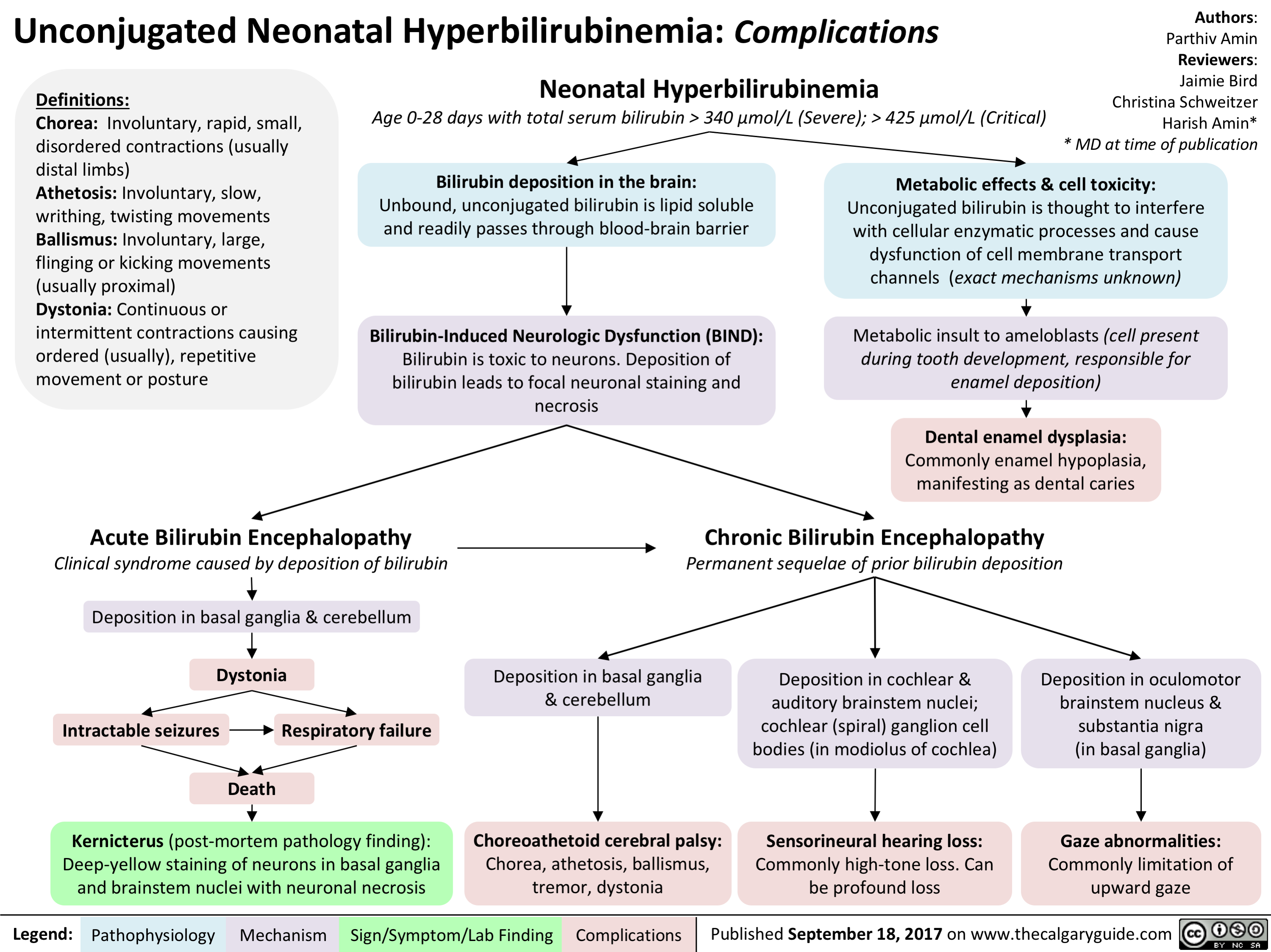 Unconjugated Neonatal Hyperbilirubinemia Complications Calgary Guide