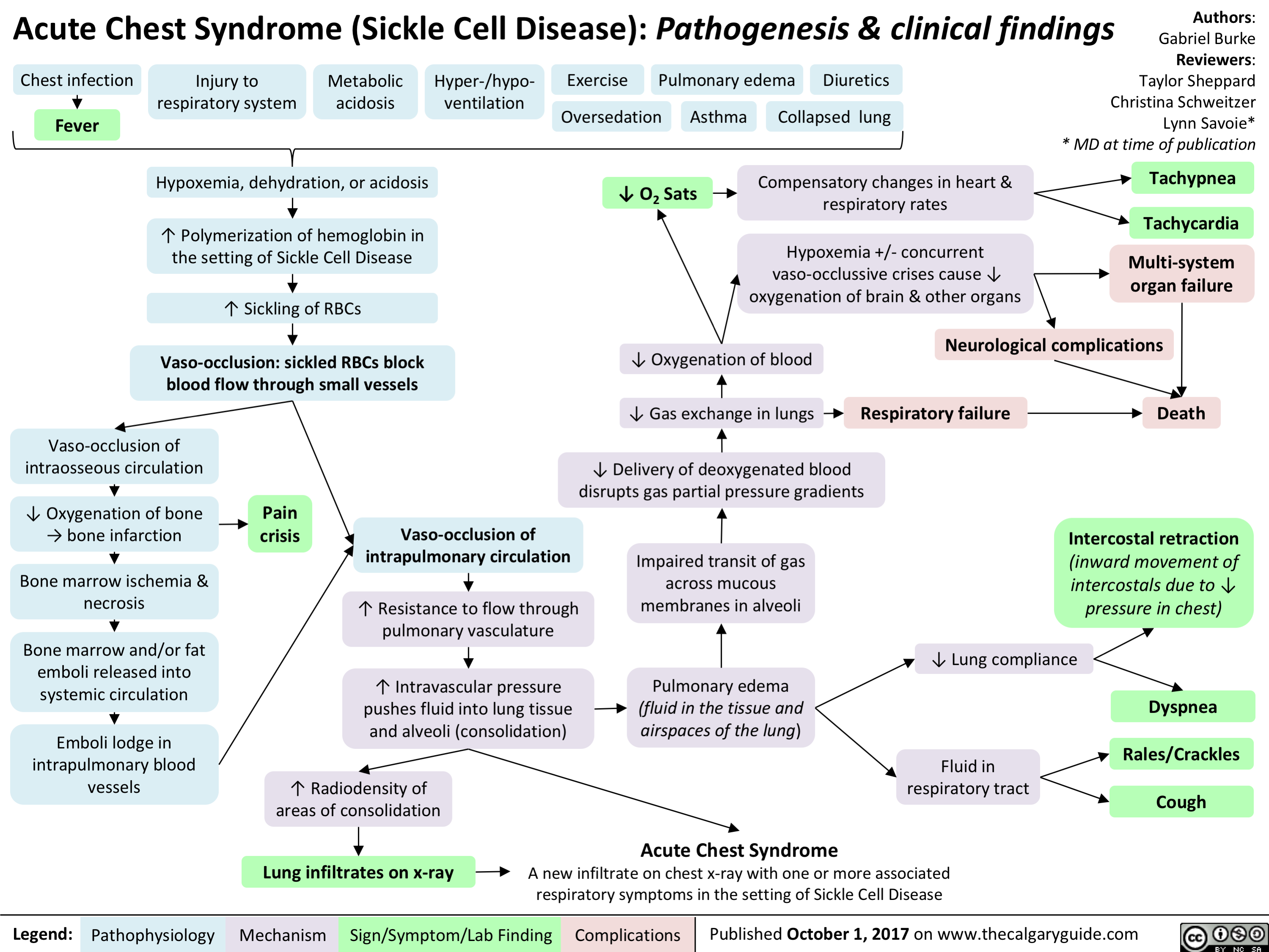 what-is-sickle-cell-anemia-modern-biology-inc