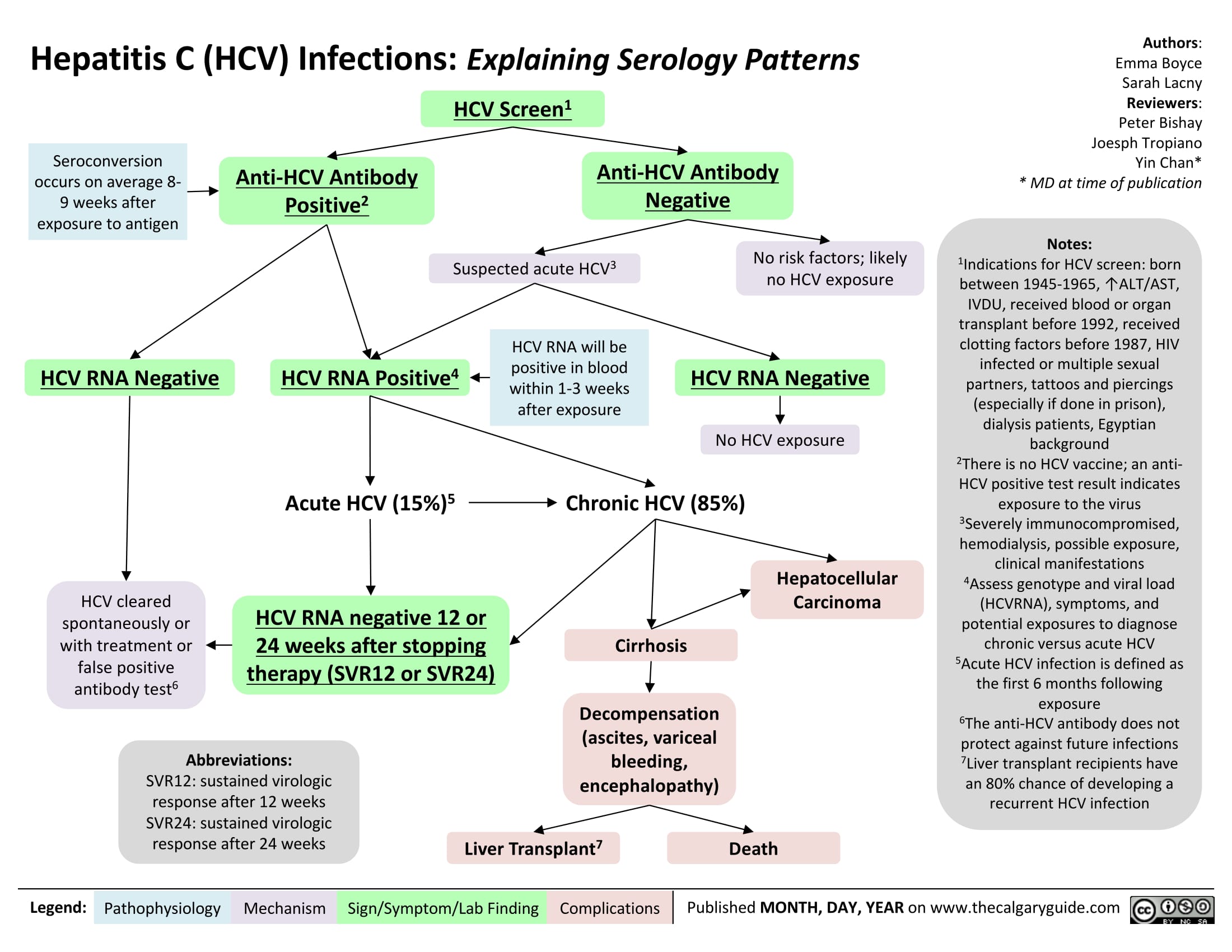 Hepatitis C (HCV) Infections: Explaining Serology Patterns 

Seroconversion occurs on average 8-9 weeks after exposure to antigen 
H CV RNA Negative 
Anti-HCV Antibody Positive2 
HCV RNA Positive4 
1 HCV Screen  
Anti-HCV Antibody Negative  
Suspected acute HCV3 
HCV RNA will be positive in blood within 1-3 weeks after exposure 
No risk factors; likely no HCV exposure 
HCV RNA Negative 
No HCV exposure 

HCV cleared spontaneously or with treatment or false positive antibody test6 
Acute HCV (15%) 5Chronic HCV (85%) 


HCV RNA negative 12 or 24 weeks after stopping therapy (SVR12 or  SVR24)  
Abbreviations: SVR12: sustained virologic response after 12 weeks SVR24: sustained virologic response after 24 weeks 
Hepatocellular Carcinoma 
Cirrhosis 

Decompensation (ascites, variceal bleeding, encephalopathy) 
7 Liver Transplant 
Death 
Authors: Emma Boyce Sarah Lacny Reviewers: Peter B i s h ay Joesph Tropiano Yin Chan* * MD at time of publication 
Notes: 1Indications for HCV screen: born between 1945-1965, ↑ALT/AST, IVDU, received blood or organ transplant before 1992, received clotting factors before 1987, HIV infected or multiple sexual partners, tattoos and piercings (especially if done in prison), dialysis patients, Egyptian background 2There is no HCV vaccine; an anti-HCV positive test result indicates exposure to the virus 3Seve re l y immunocompromised, hemodialysis, possible exposure, clinical manifestations 4Assess genotype and viral load (HCVRNA), symptoms, and potential exposures to diagnose chronic versus acute HCV 5Acute HCV infection is defined as the first 6 months following exposure 6The anti-HCV antibody does not protect against future infections 7Liver transplant recipients have an 80% chance of developing a recurrent HCV infection 
Legend: 
Pathophysiology 
Mechanism 
Sign/Symptom/Lab Finding 
Complications 
Published NOVEMBER 12, 2017 on www.thecalgaryguide.com 
