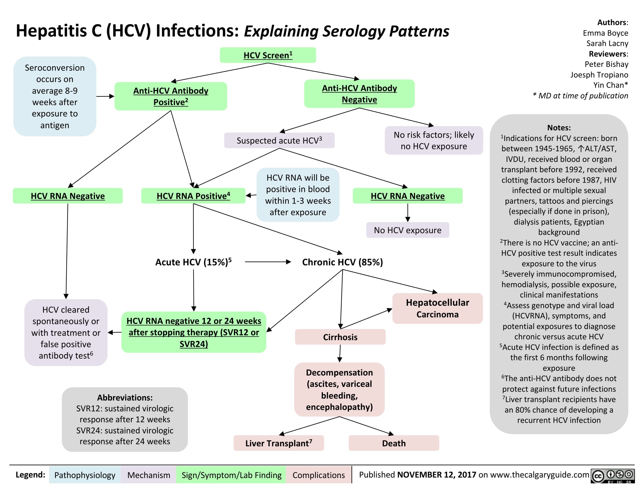 Hepatitis C (HCV) Infections: Explaining Serology Patterns 

Seroconversion occurs on average 8-9 weeks after exposure to antigen 
H CV RNA Negative 
Anti-HCV Antibody Positive2 
HCV RNA Positive4 
1 HCV Screen  
Anti-HCV Antibody Negative  
Suspected acute HCV3 
HCV RNA will be positive in blood within 1-3 weeks after exposure 
No risk factors; likely no HCV exposure 
HCV RNA Negative 
No HCV exposure 

HCV cleared spontaneously or with treatment or false positive antibody test6 
Acute HCV (15%) 5Chronic HCV (85%) 


HCV RNA negative 12 or 24 weeks after stopping therapy (SVR12 or  SVR24)  
Abbreviations: SVR12: sustained virologic response after 12 weeks SVR24: sustained virologic response after 24 weeks 
Hepatocellular Carcinoma 
Cirrhosis 

Decompensation (ascites, variceal bleeding, encephalopathy) 
7 Liver Transplant 
Death 
Authors: Emma Boyce Sarah Lacny Reviewers: Peter B i s h ay Joesph Tropiano Yin Chan* * MD at time of publication 
Notes: 1Indications for HCV screen: born between 1945-1965, ↑ALT/AST, IVDU, received blood or organ transplant before 1992, received clotting factors before 1987, HIV infected or multiple sexual partners, tattoos and piercings (especially if done in prison), dialysis patients, Egyptian background 2There is no HCV vaccine; an anti-HCV positive test result indicates exposure to the virus 3Seve re l y immunocompromised, hemodialysis, possible exposure, clinical manifestations 4Assess genotype and viral load (HCVRNA), symptoms, and potential exposures to diagnose chronic versus acute HCV 5Acute HCV infection is defined as the first 6 months following exposure 6The anti-HCV antibody does not protect against future infections 7Liver transplant recipients have an 80% chance of developing a recurrent HCV infection 
Legend: 
Pathophysiology 
Mechanism 
Sign/Symptom/Lab Finding 
Complications 
Published NOVEMBER 12, 2017 on www.thecalgaryguide.com 
