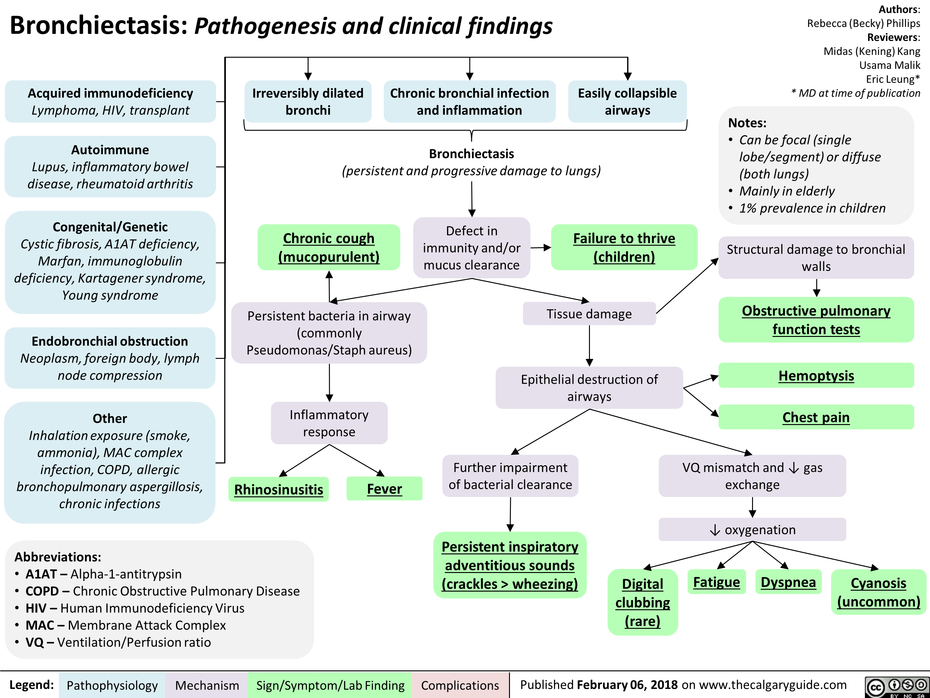 Bronchiectasis: Pathogenesis and clinical findings 
Acquired immunodeficiency Lymphoma, HIV, transplant 
Autoimmune Lupus, inflammatory bowel disease, rheumatoid arthritis 
Congenital/Genetic Cystic fibrosis, A1AT deficiency, Marfan, immunoglobulin deficiency, Kartagener syndrome, Young syndrome 
Endobronchial obstruction Neoplasm, foreign body, lymph node compression 
Other Inhalation exposure (smoke, ammonia), MAC complex infection, COPD, allergic bronchopulmonary aspergillosis, chronic infections 
Irreversibly dilated bronchi 
Chronic bronchial infection and inflammation 
1 
Easily collapsible airways 
 I Bronchiectasis (persistent and progressive damage to lungs) 
Chronic cough  (mucopurulent) 
Defect in immunity and/or mucus clearance 
Persistent bacteria in airway (commonly Pseudomonas/Staph aureus) 
Inflammatory response 
Rhinosinusitis 
Abbreviations: • A1AT — Alpha-1-antitrypsin • COPD — Chronic Obstructive Pulmonary Disease • HIV — Human Immunodeficiency Virus • MAC — Membrane Attack Complex • VQ— Ventilation/Perfusion ratio 
Legend: 
Pathophysiology Mechanism 
Fever 
Sign/Symptom/Lab Finding 
Failure to thrive (children)  

Authors: Rebecca (Becky) Phillips Reviewers: Midas (Kening) Kang Usama Malik Eric Leung* * MD at time of publication 
Notes: • Can be focal (single lobe/segment) or diffuse (both lungs) • Mainly in elderly • 1% prevalence in children 
Tissue damage 
Epithelial destruction of airways 
Further impairment of bacterial clearance 
Persistent inspiratory adventitious sounds  (crackles > wheezing)  
Complications 
Structural damage to bronchial walls 
Obstructive pulmonary function tests  
Hemoptysis 
Chest pain 
VQ mismatch and 4, gas exchange 
4, oxygenation 

Digital  clubbing (rare)  
Fatigue Dyspnea  
Cyanosis  (uncommon) 