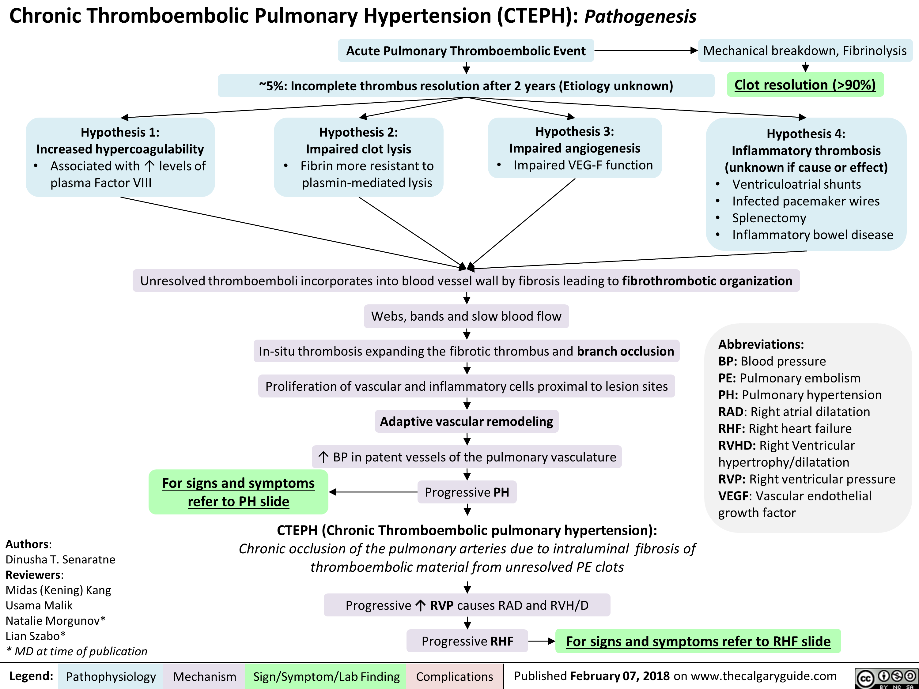 Chronic Thromboembolic Pulmonary Hypertension (CTEPH): Pathogenesis 
Acute Pulmonary Thromboembolic Event 
Mechanical breakdown, Fibrinolysis 
—5%: Incomplete thrombus resolution after 2 years (Etiology unknown) 
* 
Clot resolution (>90%) 
Hypothesis 1: Increased hypercoagulability Hypothesis 2: Impaired clot lysis Hypothesis 3: Impaired angiogenesis Hypothesis 4: Inflammatory thrombosis • Associated with 1` levels of • Fibrin more resistant to • Impaired VEG-F function (unknown if cause or effect) plasma Factor VIII plasmin-mediated lysis • Ventriculoatrial shunts • Infected pacemaker wires • Splenectomy • Inflammatory bowel disease 
Unresolved thromboemboli incorporates into blood vessel wall by fibrosis leading to fibrothrombotic organization 
Authors: Dinusha T. Senaratne Reviewers: Midas (Kening) Kang Usama Malik Natalie Morgunov* Lian Szabo* * MD at time of publication 
Legend: 
Webs, bands and slow blood flow In-situ thrombosis expanding the fibrotic thrombus and branch occlusion Abbreviations: BP: Blood pressure PE: Pulmonary embolism PH: Pulmonary hypertension RAD: Right atrial dilatation RHF: Right heart failure RVHD: Right Ventricular hypertrophy/dilatation RVP: Right ventricular pressure VEGF: Vascular endothelial growth factor Proliferation of vascular and inflammatory cells proximal to lesion sites Adaptive vascular remodeling BP in patent vessels of the pulmonary vasculature For signs and symptoms refer to PH slide ■ Progressive PH 
CTEPH (Chronic Thromboembolic pulmonary hypertension): Chronic occlusion of the pulmonary arteries due to intraluminal fibrosis of thromboembolic material from unresolved PE clots 
Pathophysiology Mechanism 
Progressive'(` RVP causes RAD and RVH/D 
Sign/Symptom/Lab Finding 
Progressive RHF 
Complications 
For signs and symptoms refer to RHF slide 