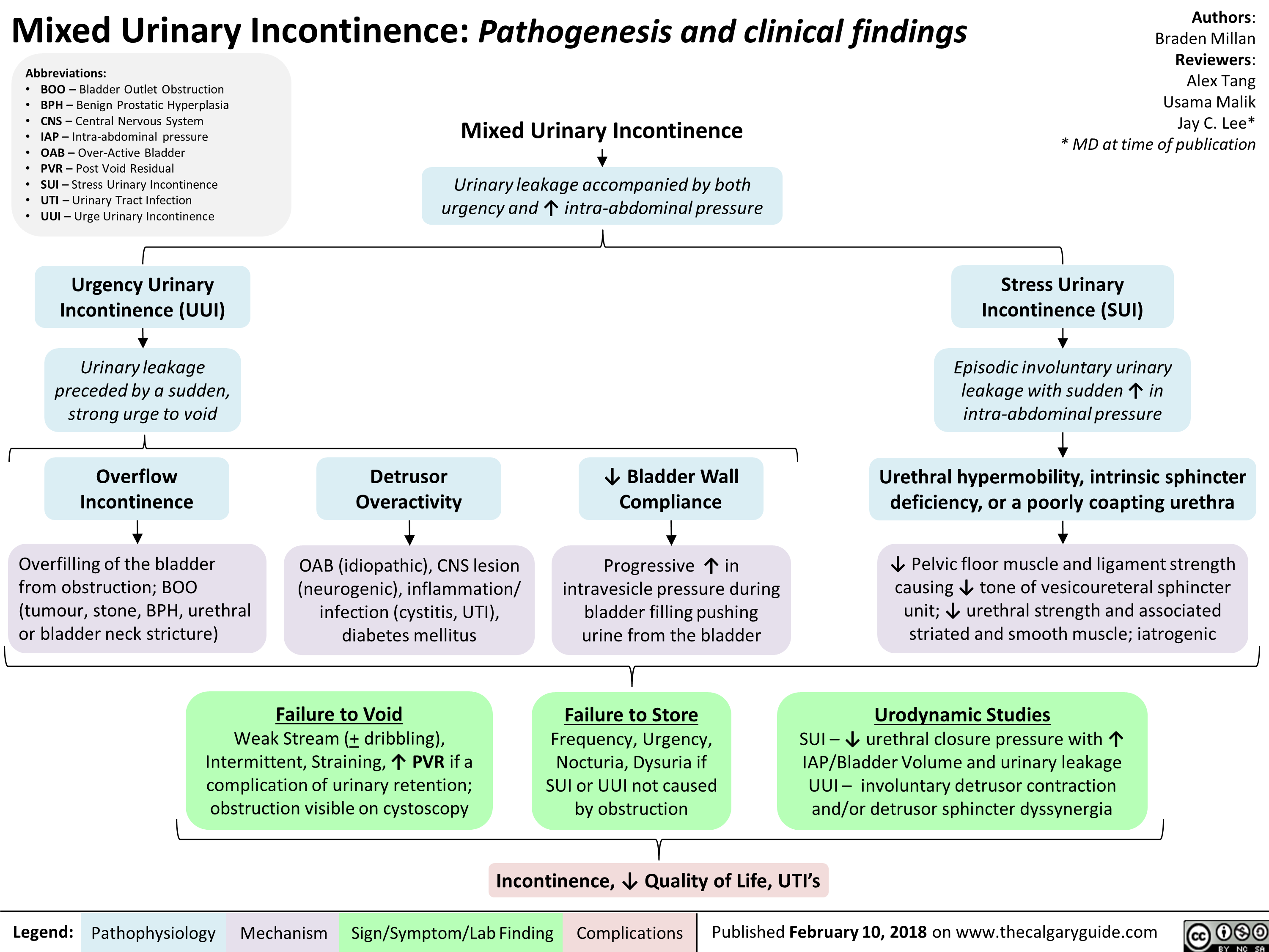 Mixed Urinary Incontinence: Pathogenesis and clinical findings 
Abbreviations: • BOO — Bladder Outlet Obstruction • BPH — Benign Prostatic Hyperplasia • CNS — Central Nervous System • IAP — Intra-abdominal pressure • OAB — Over-Active Bladder • PVR — Post Void Residual • SUI —Stress Urinary Incontinence • UTI — Urinary Tract Infection • UUI — Urge Urinary Incontinence 
Mixed Urinary Incontinence 47 
Urinary leakage accompanied by both urgency and t intra-abdominal pressure 
Urgency Urinary Incontinence (UUI) 4, Urinary leakage preceded by a sudden, strong urge to void 
Overflow Incontinence vir Overfilling of the bladder from obstruction; BOO (tumour, stone, BPH, urethral or bladder neck stricture) 
Detrusor Overactivity Ilr OAB (idiopathic), CNS lesion (neurogenic), inflammation/ infection (cystitis, UTI), diabetes mellitus 
4. Bladder Wall Compliance 
Progressive t in intravesicle pressure during bladder filling pushing urine from the bladder 
Authors: Braden Millan Reviewers: Alex Tang Usama Malik Jay C. Lee* * MD at time of publication 
Stress Urinary Incontinence (SUI) + Episodic involuntary urinary leakage with sudden l• in intra-abdominal pressure 
4. 
Urethral hypermobility, intrinsic sphincter deficiency, or a poorly coapting urethra 
4, 
4, Pelvic floor muscle and ligament strength causing 4. tone of vesicoureteral sphincter unit; 4, urethral strength and associated striated and smooth muscle; iatrogenic 
Legend: 
Failure to Void  Weak Stream (+ dribbling), Intermittent, Straining, '1` PVR if a complication of urinary retention; obstruction visible on cystoscopy 
Failure to Store  Frequency, Urgency, Nocturia, Dysuria if SUI or UUI not caused by obstruction 
Pathophysiology Mechanism 
Urodynamic Studies  SUI — 4, urethral closure pressure with 11` IAP/Bladder Volume and urinary leakage UUI — involuntary detrusor contraction and/or detrusor sphincter dyssynergia 

Incontinence, 4, Quality of Life, UTI's 