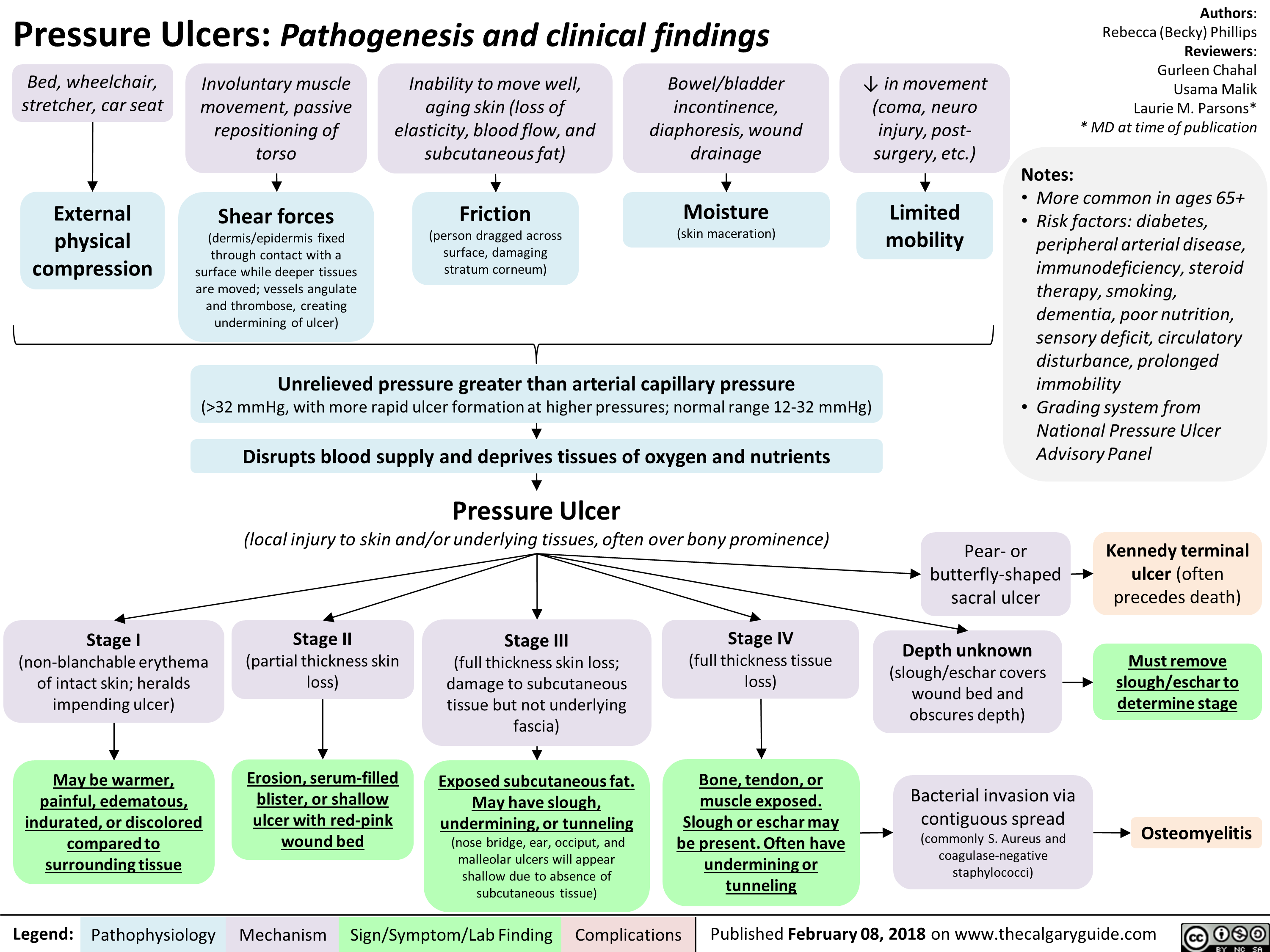 Depth unknown (slough/eschar covers wound bed and obscures depth) 
Must remove  slough/eschar to determine stage  
-110. 
Kennedy terminal ulcer (often precedes death) 
—1111. 
Pressure Ulcers: Pathogenesis and clinical findings 
Bed, wheelchair, stretcher, car seat 
External physical compression 
Involuntary muscle movement, passive repositioning of torso Shear forces (dermis/epidermis fixed through contact with a surface while deeper tissues are moved; vessels angulate and thrombose, creating undermining of ulcer) 
Inability to move well, aging skin (loss of elasticity, blood flow, and subcutaneous fat) Friction (person dragged across surface, damaging stratum corneum) 
Bowel/bladder incontinence, diaphoresis, wound drainage Moisture (skin maceration) 
4, in movement (coma, neuro injury, post-surgery, etc.) Limited mobility 

Unrelieved pressure greater than arterial capillary pressure (>32 mmHg, with more rapid ulcer formation at higher pressures; normal range 12-32 mmHg) Disrupts blood supply and deprives tissues of oxygen and nutrients Pressure Ulcer (local injury to skin and/or underlying tissues, often over bony prominence) 

Authors: Rebecca (Becky) Phillips Reviewers: Gurleen Chahal Usama Malik Laurie M. Parsons* * MD at time of publication 
Notes: • More common in ages 65+ • Risk factors: diabetes, peripheral arterial disease, immunodeficiency, steroid therapy, smoking, dementia, poor nutrition, sensory deficit, circulatory disturbance, prolonged immobility • Grading system from National Pressure Ulcer Advisory Panel 
Pear- or butterfly-shaped sacral ulcer 
Stage I (non-blanchable erythema of intact skin; heralds impending ulcer) 
May be warmer,  painful, edematous,  indurated, or discolored compared to  surrounding tissue  
Legend: 
Stage II (partial thickness skin loss) 

Erosion, serum-filled blister, or shallow ulcer with red-pink  wound bed  
Pathophysiology Mechanism 

Stage III (full thickness skin loss; damage to subcutaneous tissue but not underlying fascia) 
* 
Exposed subcutaneous fat. May have slough,  undermining, or tunneling (nose bridge, ear, occiput, and malleolar ulcers will appear shallow due to absence of subcutaneous tissue) 
Sign/Symptom/Lab Finding 
Stage IV (full thickness tissue loss) 

Bone, tendon, or  muscle exposed.  Slough or eschar may  be present. Often have undermining or  tunneling  
Complications 
Bacterial invasion via contiguous spread (commonly S. Aureus and coagulase-negative staphylococci) 
Osteomyelitis 