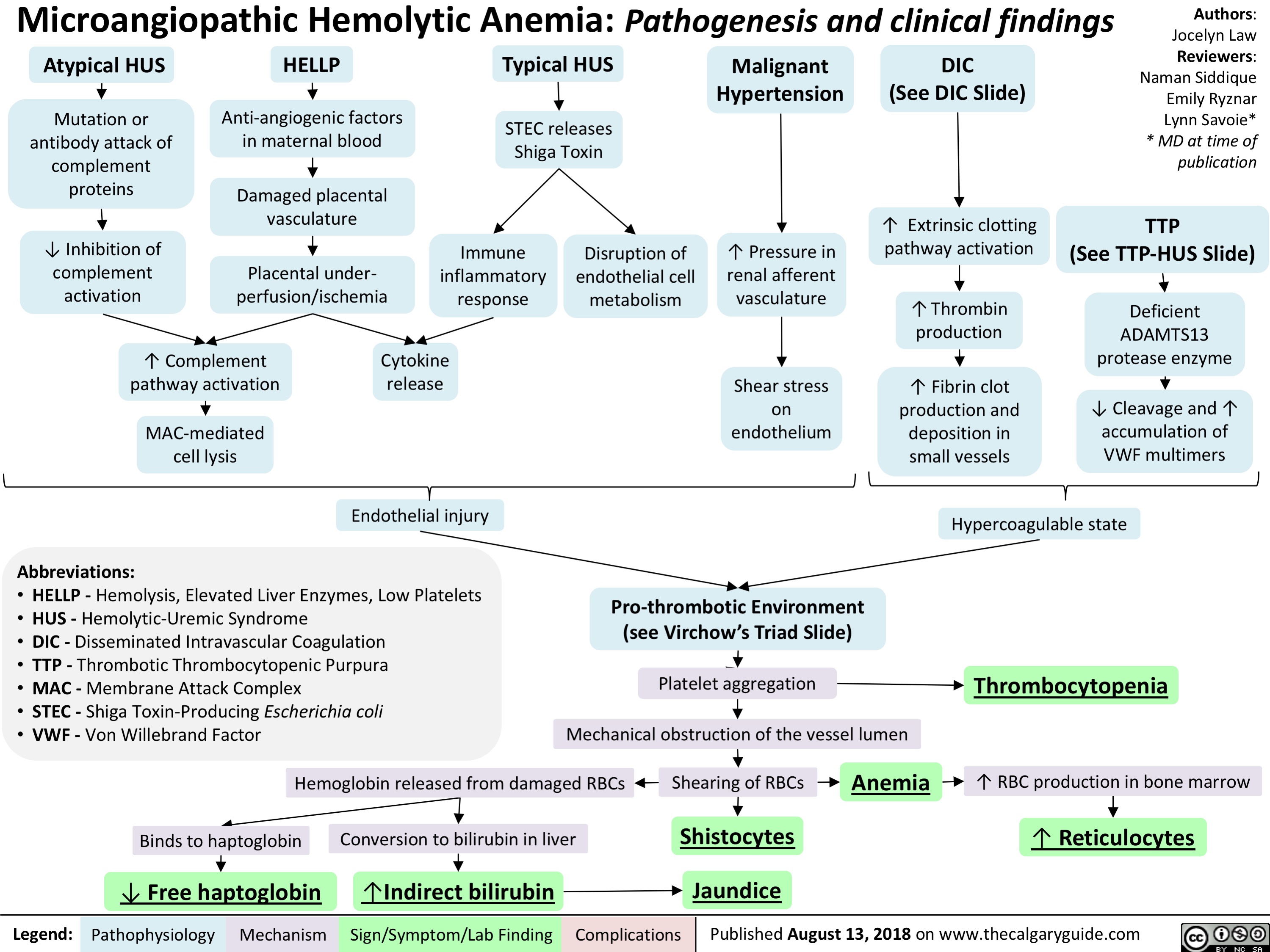 Microangiopathic Hemolytic Anemia: Pathogenesis and clinical findings
Authors: Jocelyn Law Reviewers: Naman Siddique Emily Ryznar Lynn Savoie* * MD at time of publication
     Atypical HUS
Mutation or antibody attack of
complement proteins
HELLP
Anti-angiogenic factors in maternal blood
Damaged placental vasculature
Typical HUS
STEC releases Shiga Toxin
Malignant Hypertension
DIC
(See DIC Slide)
                    ↓ Inhibition of complement
Immune inflammatory
↑ Pressure in
↑ Extrinsic clotting pathway activation
TTP
(See TTP-HUS Slide)
Disruption of
endothelial cell
activation perfusion/ischemia response metabolism vasculature ↑Thrombin Deficient
 Placental under-
renal afferent
          ↑ Complement pathway activation
MAC-mediated cell lysis
Cytokine release
Endothelial injury
Shear stress on endothelium
production
↑ Fibrin clot production and deposition in small vessels
ADAMTS13 protease enzyme
↓ Cleavage and ↑ accumulation of VWF multimers
              Abbreviations:
• HELLP - Hemolysis, Elevated Liver Enzymes, Low Platelets • HUS - Hemolytic-Uremic Syndrome
• DIC - Disseminated Intravascular Coagulation
• TTP - Thrombotic Thrombocytopenic Purpura
• MAC - Membrane Attack Complex
• STEC - Shiga Toxin-Producing Escherichia coli
• VWF - Von Willebrand Factor
Pro-thrombotic Environment (see Virchow’s Triad Slide)
Platelet aggregation Mechanical obstruction of the vessel lumen
Hypercoagulable state
Thrombocytopenia
↑ RBC production in bone marrow
↑ Reticulocytes
         Hemoglobin released from damaged RBCs       Shearing of RBCs     Anemia
          Binds to haptoglobin Conversion to bilirubin in liver
↓ Free haptoglobin ↑Indirect bilirubin
Shistocytes Jaundice
            Legend:
 Pathophysiology
 Mechanism
Sign/Symptom/Lab Finding
  Complications
Published August 13, 2018 on www.thecalgaryguide.com
   