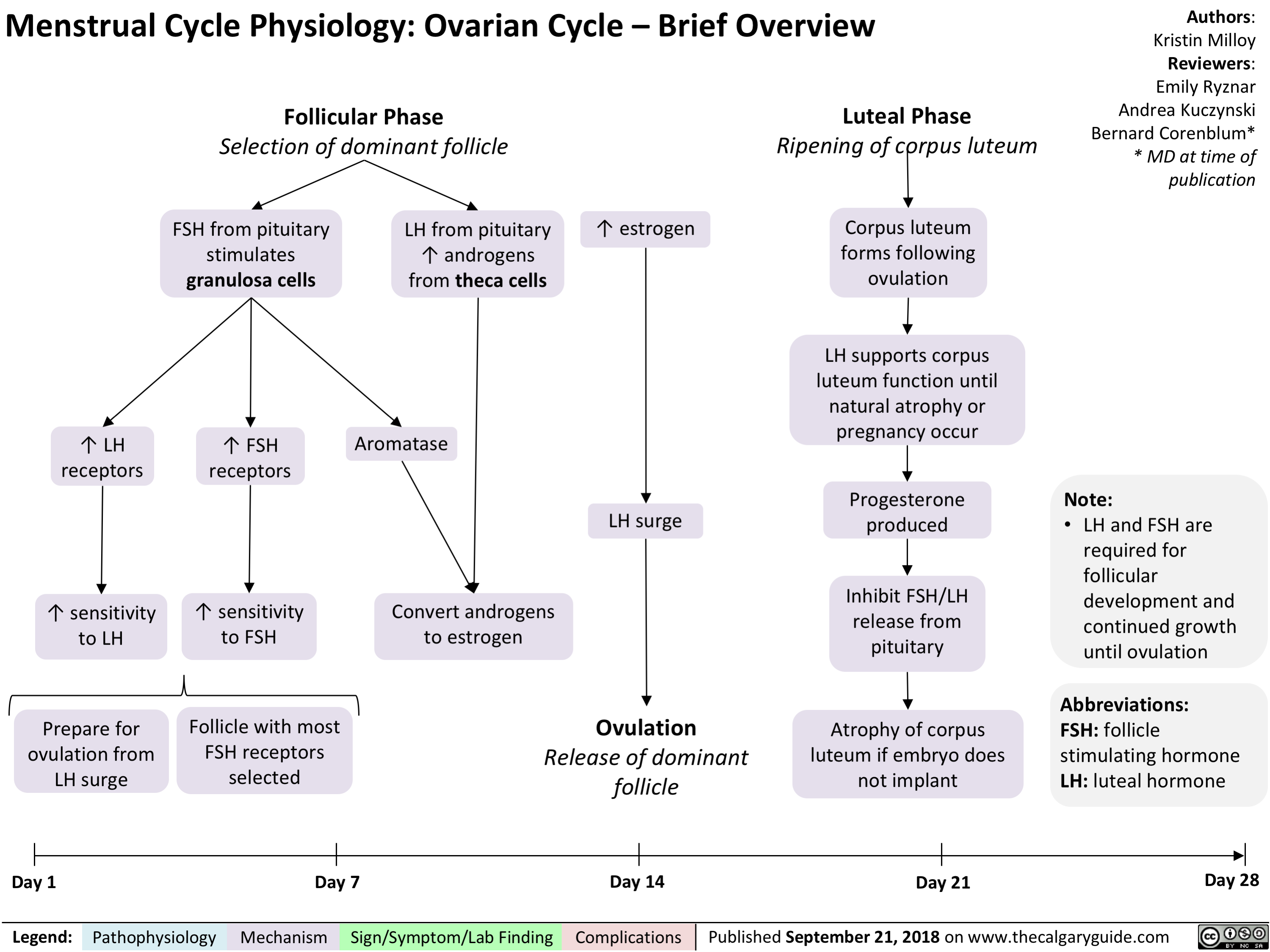 Menstrual Cycle Physiology: Ovarian Cycle – Brief Overview
Authors: Kristin Milloy Reviewers: Emily Ryznar Andrea Kuczynski Bernard Corenblum* * MD at time of publication
  Follicular Phase
Selection of dominant follicle
Luteal Phase
Ripening of corpus luteum
Corpus luteum forms following ovulation
LH supports corpus luteum function until natural atrophy or pregnancy occur
Progesterone produced
Inhibit FSH/LH release from pituitary
Atrophy of corpus luteum if embryo does not implant
     FSH from pituitary stimulates granulosa cells
↑ FSH receptors
↑ sensitivity to FSH
Follicle with most FSH receptors selected
LH from pituitary ↑ androgens from theca cells
Aromatase
↑ estrogen
         ↑ LH receptors
↑ sensitivity to LH
Prepare for ovulation from LH surge
LH surge
Note:
• LHandFSHare required for follicular development and continued growth until ovulation
Abbreviations:
FSH: follicle stimulating hormone LH: luteal hormone
            Convert androgens to estrogen
       Ovulation
Release of dominant follicle
      Day 1
Day 7
Day 14
Day 21
Day 28
 Legend:
 Pathophysiology
Mechanism
 Sign/Symptom/Lab Finding
  Complications
 Published September 21, 2018 on www.thecalgaryguide.com
  