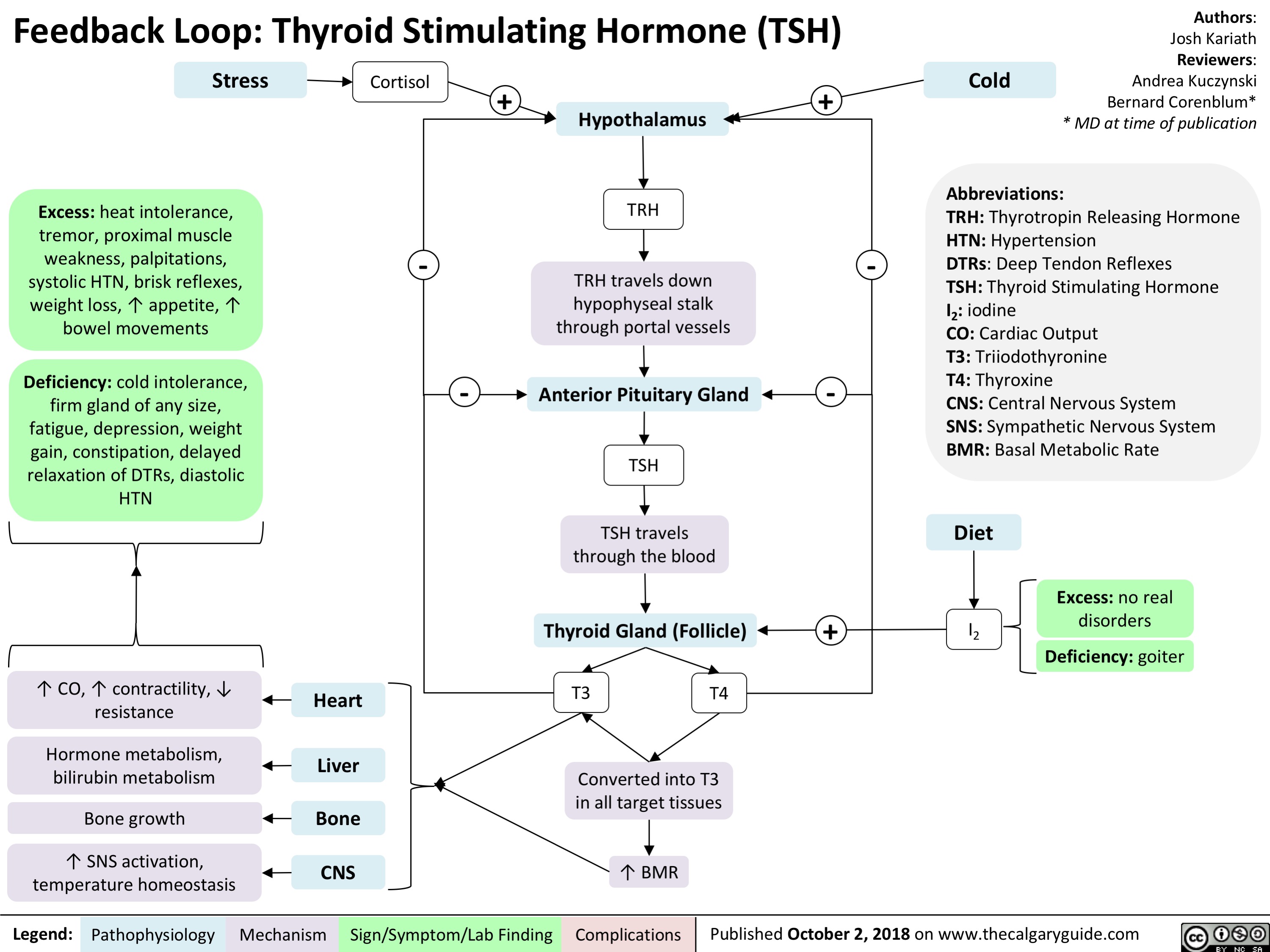 Feedback Loop: Thyroid Stimulating Hormone (TSH)
Authors: Josh Kariath Reviewers: Andrea Kuczynski Bernard Corenblum* * MD at time of publication
   Stress
Excess: heat intolerance, tremor, proximal muscle weakness, palpitations, systolic HTN, brisk reflexes, weight loss, ↑ appetite, ↑ bowel movements
Deficiency: cold intolerance, firm gland of any size, fatigue, depression, weight gain, constipation, delayed relaxation of DTRs, diastolic HTN
Cortisol
-
+ +
Cold
     Hypothalamus
      TRH
TRH travels down
hypophyseal stalk through portal vessels
Anterior Pituitary Gland -
TSH
TSH travels through the blood
Thyroid Gland (Follicle) +
T3 T4
Converted into T3 in all target tissues
↑ BMR
-
Abbreviations:
TRH: Thyrotropin Releasing Hormone HTN: Hypertension
DTRs: Deep Tendon Reflexes
TSH: Thyroid Stimulating Hormone I2: iodine
CO: Cardiac Output
T3: Triiodothyronine
T4: Thyroxine
CNS: Central Nervous System
SNS: Sympathetic Nervous System BMR: Basal Metabolic Rate
      -
        Diet
I2
Excess: no real disorders
Deficiency: goiter
              ↑ CO, ↑ contractility, ↓ resistance
Hormone metabolism, bilirubin metabolism
Heart Liver
          Bone growth       Bone
  ↑ SNS activation, temperature homeostasis
CNS
    Legend:
 Pathophysiology
 Mechanism
Sign/Symptom/Lab Finding
  Complications
Published October 2, 2018 on www.thecalgaryguide.com
   