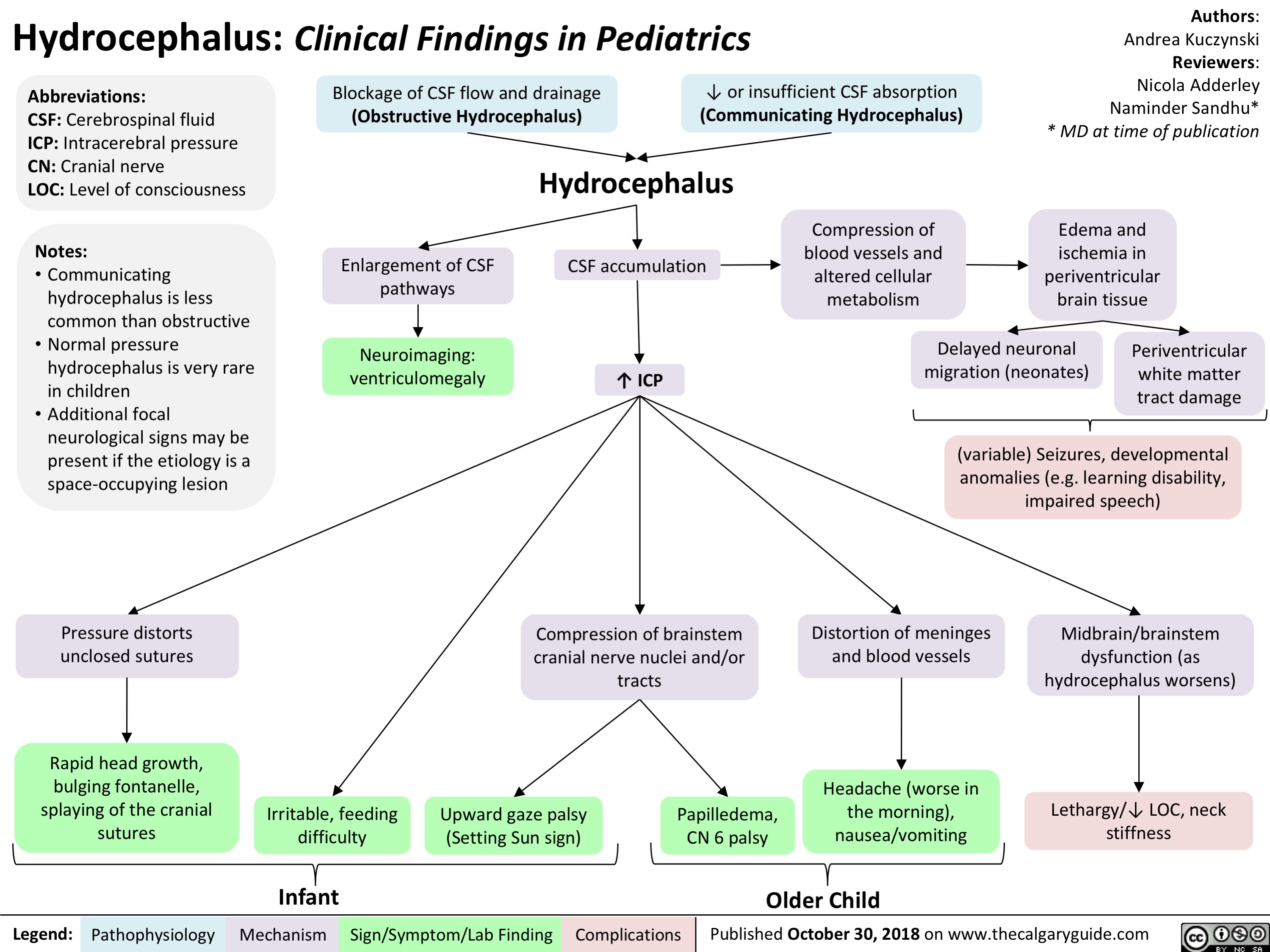 Hydrocephalus: Clinical Findings in Pediatrics
Authors: Andrea Kuczynski Reviewers: Nicola Adderley Naminder Sandhu* * MD at time of publication
Edema and
ischemia in periventricular brain tissue
   Abbreviations:
CSF: Cerebrospinal fluid ICP: Intracerebral pressure CN: Cranial nerve
LOC: Level of consciousness
Notes:
• Communicating hydrocephalus is less common than obstructive
• Normal pressure hydrocephalus is very rare in children
• Additional focal neurological signs may be present if the etiology is a space-occupying lesion
Pressure distorts unclosed sutures
Rapid head growth, bulging fontanelle, splaying of the cranial sutures
Blockage of CSF flow and drainage
(Obstructive Hydrocephalus)
↓ or insufficient CSF absorption
(Communicating Hydrocephalus) Hydrocephalus
       Enlargement of CSF pathways
Neuroimaging: ventriculomegaly
CSF accumulation
↑ ICP
Compression of blood vessels and altered cellular metabolism
       Delayed neuronal migration (neonates)
Periventricular white matter tract damage
         (variable) Seizures, developmental anomalies (e.g. learning disability, impaired speech)
    Compression of brainstem cranial nerve nuclei and/or tracts
Distortion of meninges and blood vessels
Headache (worse in the morning), nausea/vomiting
Midbrain/brainstem dysfunction (as hydrocephalus worsens)
Lethargy/↓ LOC, neck stiffness
          Irritable, feeding difficulty
Upward gaze palsy (Setting Sun sign)
Papilledema, CN 6 palsy
  Infant
Older Child
 Legend:
 Pathophysiology
 Mechanism
Sign/Symptom/Lab Finding
  Complications
Published October 30, 2018 on www.thecalgaryguide.com
   