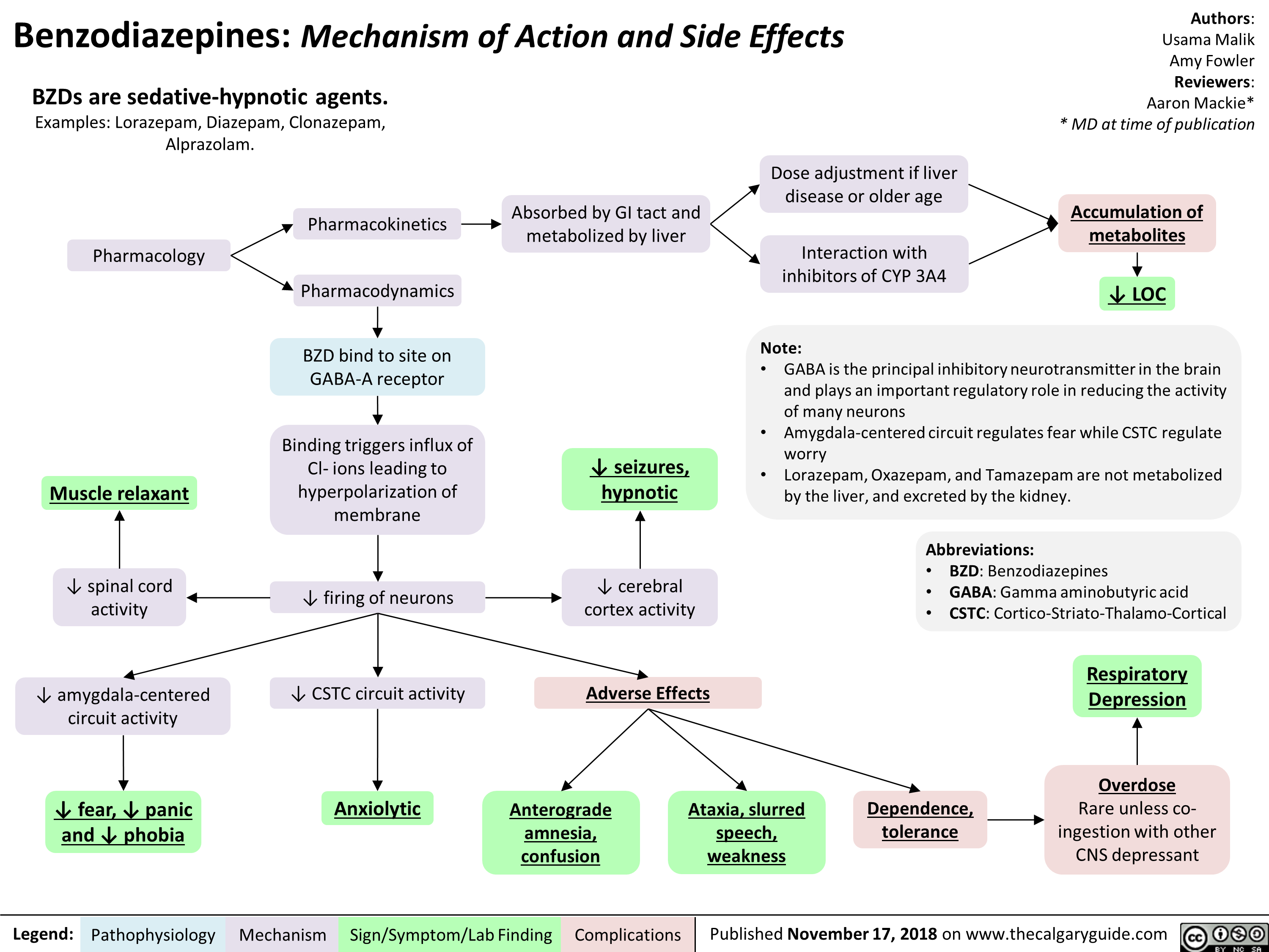 Benzodiazepines: Mechanism of Action and Side Effects 
BZDs are sedative-hypnotic agents. Examples: Lorazepam, Diazepam, Clonazepam, Alprazolam. 
Pharmacology 
Pharmacokinetics Absorbed by GI tact and metabolized by liver 
Pharmacodynamics 1 BZD bind to site on GABA-A receptor 
Dose adjustment if liver disease or older age 
Interaction with inhibitors of CYP 3A4 
Authors: Usama Malik Amy Fowler Reviewers: Aaron Mackie* * MD at time of publication 
Accumulation of metabolites  vir 4, LOC 
Note: • GABA is the principal inhibitory neurotransmitter in the brain and plays an important regulatory role in reducing the activity of many neurons Amygdala-centered circuit regulates fear while CSTC regulate worry Lorazepam, Oxazepam, and Tamazepam are not metabolized by the liver, and excreted by the kidney. 
Muscle relaxant 1 Binding triggers influx of Cl- ions leading to hyperpolarization of membrane • • 4, seizures, hypnotic  
spinal activity cord  firing of neurons 4, cerebral Abbreviations: • BZD: Benzodiazepines • GABA: Gamma aminobutyric acid • CSTC: Cortico-Striato-Thalamo-Cortical NI, cortex activity • Respiratory amygdala-centered CSTC circuit activity Adverse Effects Depression  circuit activity Overdose 4, fear, 4, panic Anxiolytic Anterograde Ataxia, slurred Dependence, Rare unless co-and 4, phobia amnesia, speech, tolerance ingestion with other CNS depressant confusion weakness 