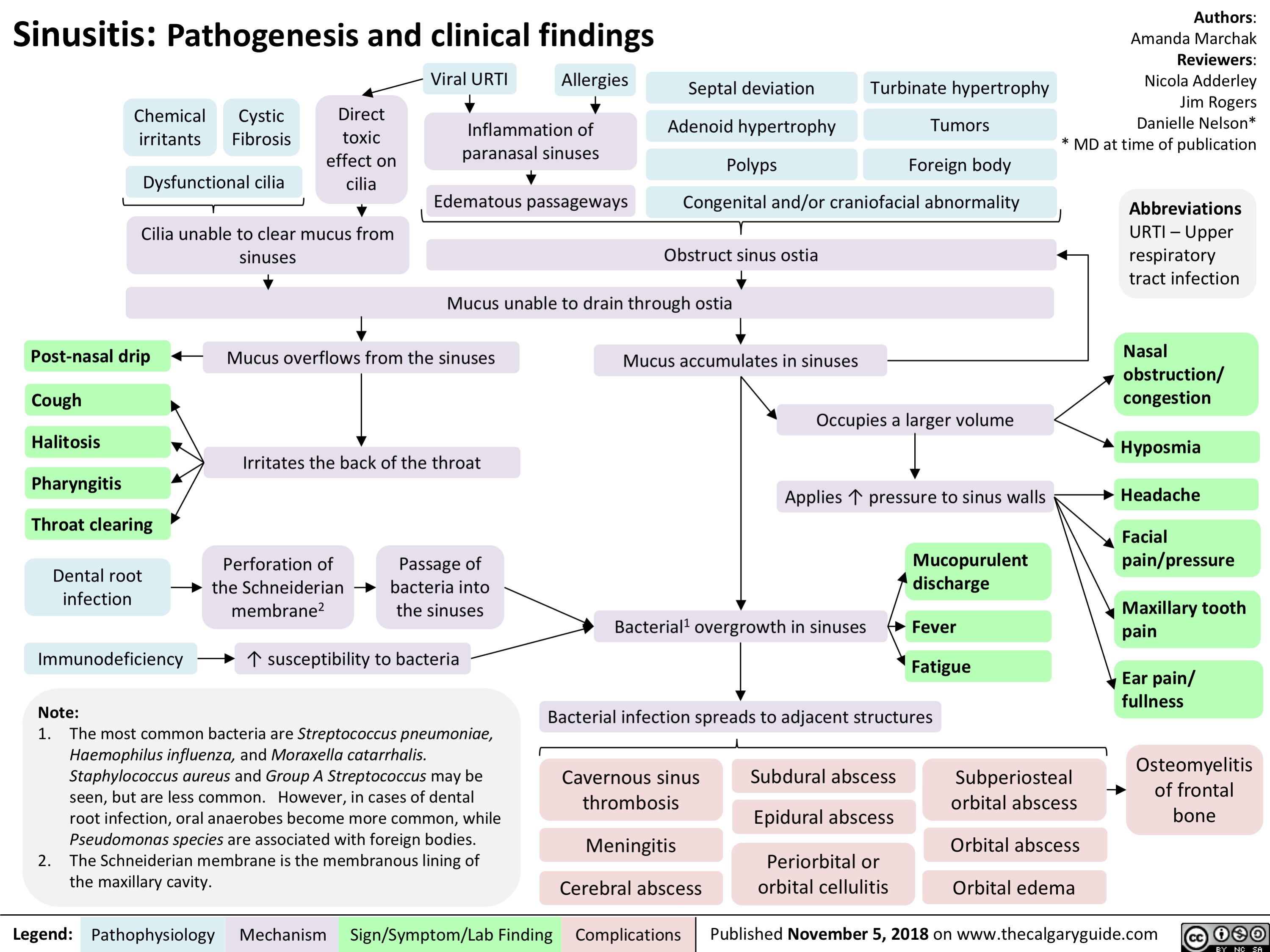 Sinusitis: Pathogenesis and clinical findings
Authors: Amanda Marchak Reviewers: Nicola Adderley Jim Rogers Danielle Nelson* * MD at time of publication
Abbreviations
URTI – Upper respiratory tract infection
Nasal obstruction/ congestion
Hyposmia
Headache
Facial pain/pressure
Maxillary tooth pain
Ear pain/ fullness
Osteomyelitis of frontal bone
          Chemical irritants
Cystic Fibrosis
Direct toxic effect on cilia
Viral URTI Allergies
Inflammation of paranasal sinuses
Edematous passageways
Septal deviation Adenoid hypertrophy Polyps
Turbinate hypertrophy Tumors Foreign body
      Dysfunctional cilia
Congenital and/or craniofacial abnormality Obstruct sinus ostia
       Cilia unable to clear mucus from sinuses
     Mucus unable to drain through ostia
   Post-nasal drip       Mucus overflows from the sinuses Cough
Mucus accumulates in sinuses
Occupies a larger volume
Applies ↑ pressure to sinus walls
Mucopurulent discharge
Bacterial1 overgrowth in sinuses Bacterial infection spreads to adjacent structures
          Halitosis Pharyngitis Throat clearing
Dental root infection
Immunodeficiency
Note:
Irritates the back of the throat
              Perforation of the Schneiderian membrane2
Passage of bacteria into the sinuses
Fever
Fatigue
Subperiosteal orbital abscess
Orbital abscess Orbital edema
            ↑ susceptibility to bacteria
     1. The most common bacteria are Streptococcus pneumoniae, Haemophilus influenza, and Moraxella catarrhalis. Staphylococcus aureus and Group A Streptococcus may be seen, but are less common. However, in cases of dental root infection, oral anaerobes become more common, while Pseudomonas species are associated with foreign bodies.
2. The Schneiderian membrane is the membranous lining of the maxillary cavity.
Cavernous sinus thrombosis
Meningitis Cerebral abscess
Subdural abscess Epidural abscess
Periorbital or orbital cellulitis
             Legend:
 Pathophysiology
 Mechanism
Sign/Symptom/Lab Finding
  Complications
Published November 5, 2018 on www.thecalgaryguide.com
   