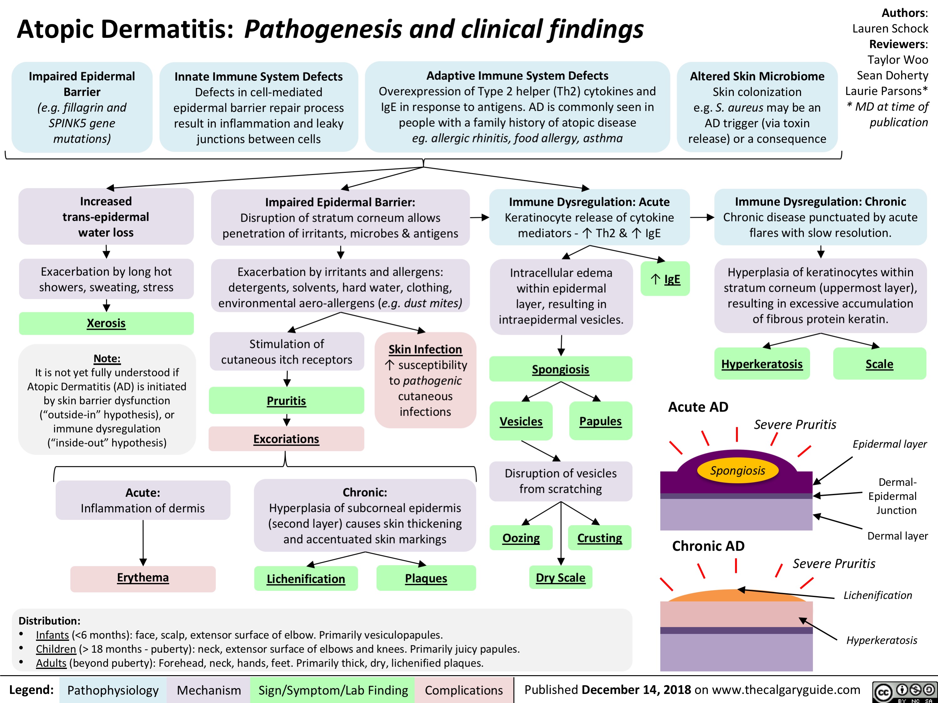 Atopic Dermatitis: Pathogenesis and Clinical Findings | Calgary Guide