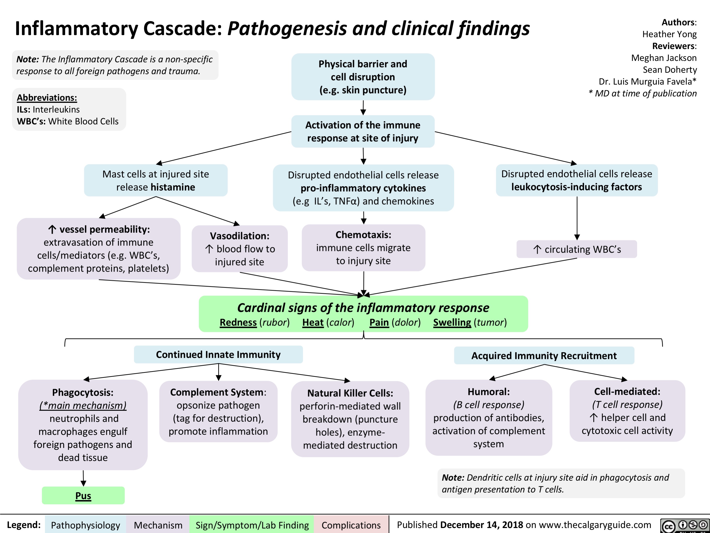 Inflammatory Cascade Pathogenesis and Clinical Findings  Calgary Guide