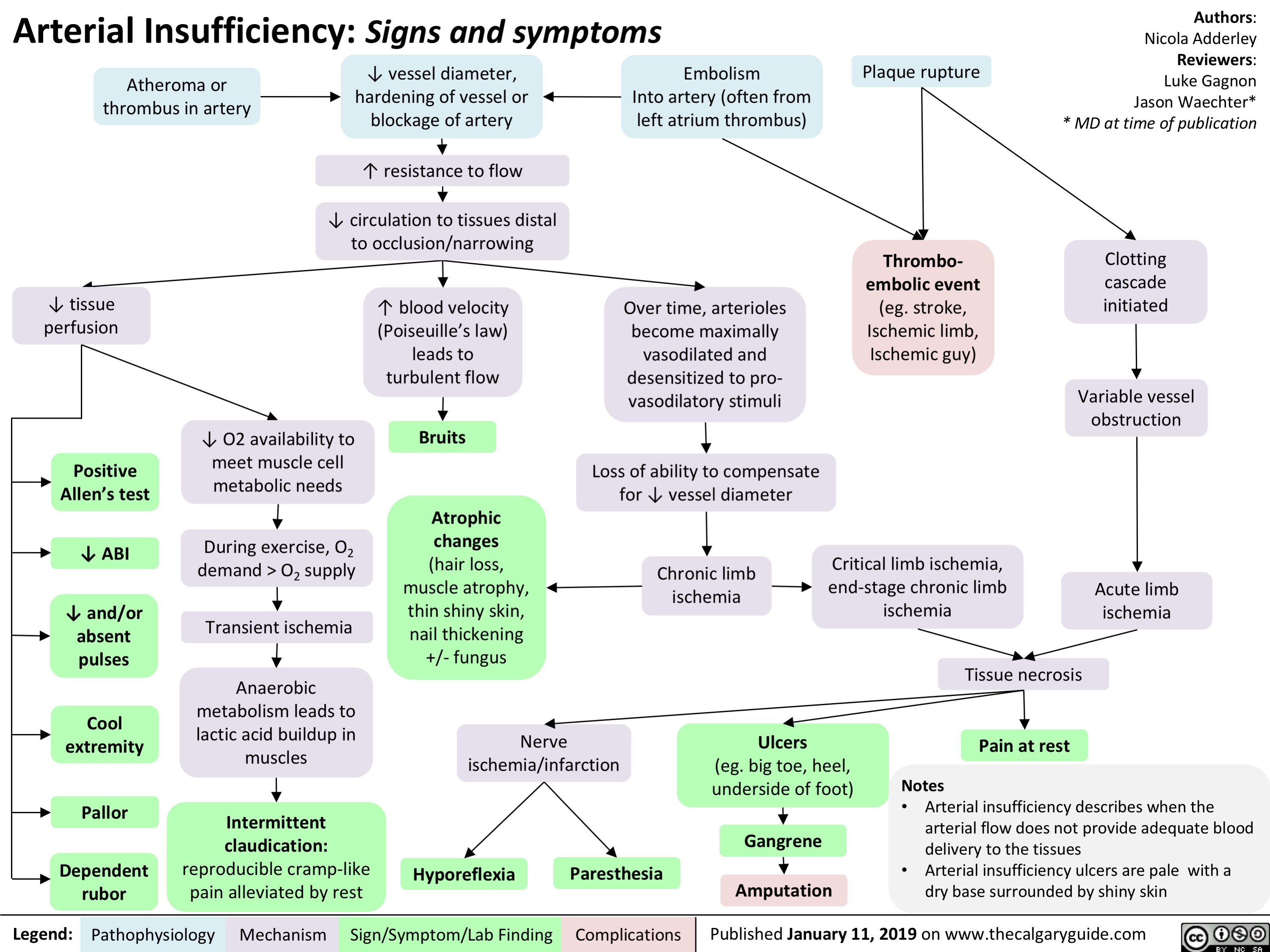 Chronic Peripheral Arterial Disease Symptoms