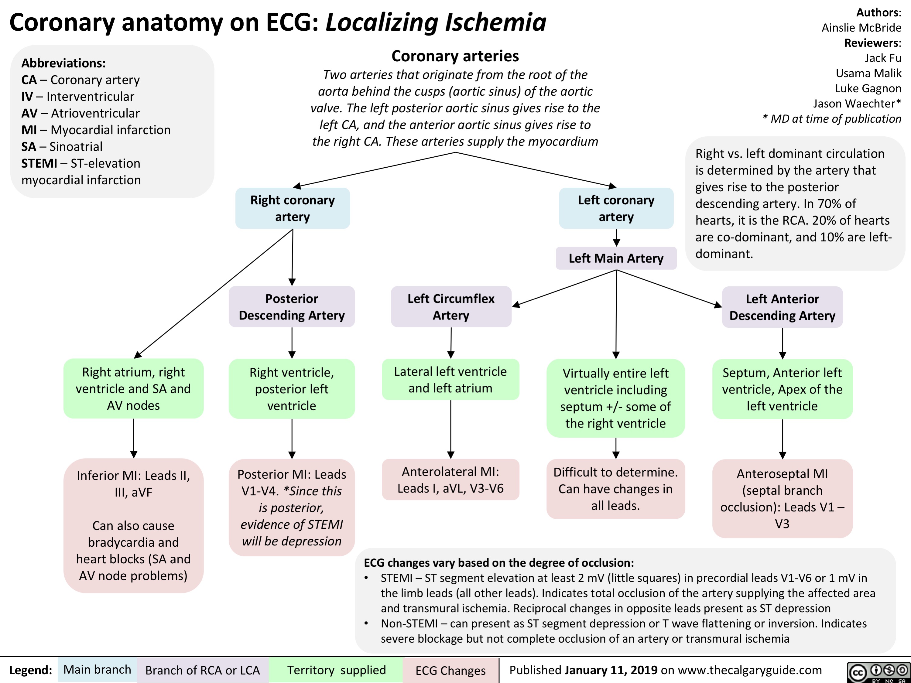 Coronary arteries  Coronary anatomy on ECG- Localizing Ischemia interventricular atrioventricular myocardial infarction sinoatrial st-elevation myocardial infarction two arteries that originate from the root of the aorta behind the cusps (aortic sinus) of the aortic valve left posterior left CA anterior aortic sinus right CA myocardium right coronary artery posterior descending right atrium ventricle SA AV nodes inferior MI leads II III aVF bradycardia heart blocks problems posterior MI V1 V4 leads anterolateral left main circumflex descending septum ventricle apex anteroseptal occlusion dominant T wave flattening inversion transmural reciprocal depression limb leads precordial leads