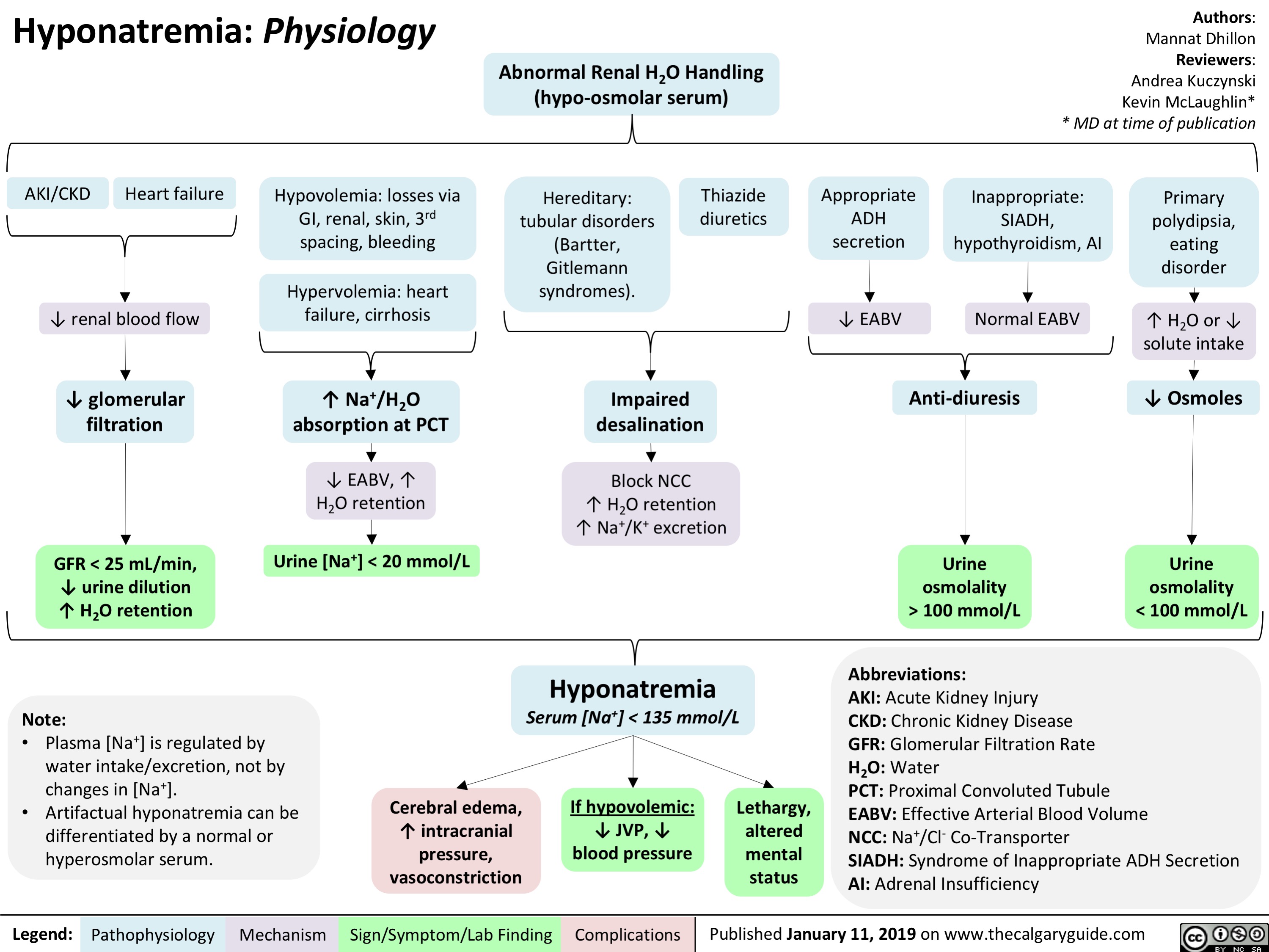 Hyponatremia: Physiology
Authors: Mannat Dhillon Reviewers: Andrea Kuczynski Kevin McLaughlin* * MD at time of publication
 Abnormal Renal H2O Handling (hypo-osmolar serum)
         AKI/CKD Heart failure
↓ renal blood flow
↓ glomerular filtration
GFR < 25 mL/min, ↓ urine dilution ↑ H2O retention
Note:
• Plasma [Na+] is regulated by water intake/excretion, not by changes in [Na+].
• Artifactual hyponatremia can be differentiated by a normal or hyperosmolar serum.
Appropriate ADH secretion
↓ EABV
Hypovolemia: losses via GI, renal, skin, 3rd spacing, bleeding
Hypervolemia: heart failure, cirrhosis
↑ Na+/H2O absorption at PCT
↓ EABV, ↑ H2O retention
Urine [Na+] < 20 mmol/L
Hereditary: tubular disorders
(Bartter, Gitlemann syndromes).
Thiazide diuretics
Inappropriate: SIADH, hypothyroidism, AI
Normal EABV
Anti-diuresis
Primary polydipsia, eating disorder
↑ H2O or ↓ solute intake
↓ Osmoles
                       Impaired desalination
Block NCC
↑ H2O retention ↑ Na+/K+ excretion
Hyponatremia
Serum [Na+] < 135 mmol/L
Urine osmolality > 100 mmol/L
Urine osmolality < 100 mmol/L
                     Cerebral edema, ↑ intracranial pressure, vasoconstriction
If hypovolemic: ↓ JVP, ↓ blood pressure
Lethargy, altered mental status
Abbreviations:
AKI: Acute Kidney Injury
CKD: Chronic Kidney Disease
GFR: Glomerular Filtration Rate
H2O: Water
PCT: Proximal Convoluted Tubule
EABV: Effective Arterial Blood Volume
NCC: Na+/Cl- Co-Transporter
SIADH: Syndrome of Inappropriate ADH Secretion AI: Adrenal Insufficiency
  Legend:
 Pathophysiology
 Mechanism
Sign/Symptom/Lab Finding
  Complications
Published January 11, 2019 on www.thecalgaryguide.com
   