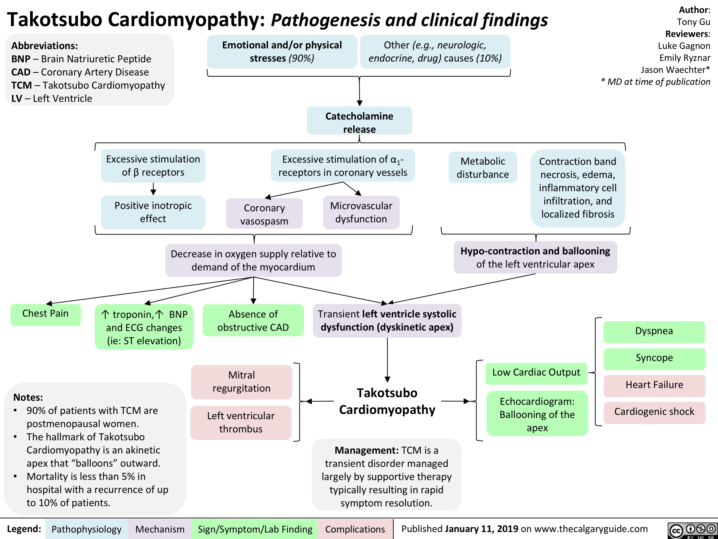 takotsubo cardiomyopathy causes
