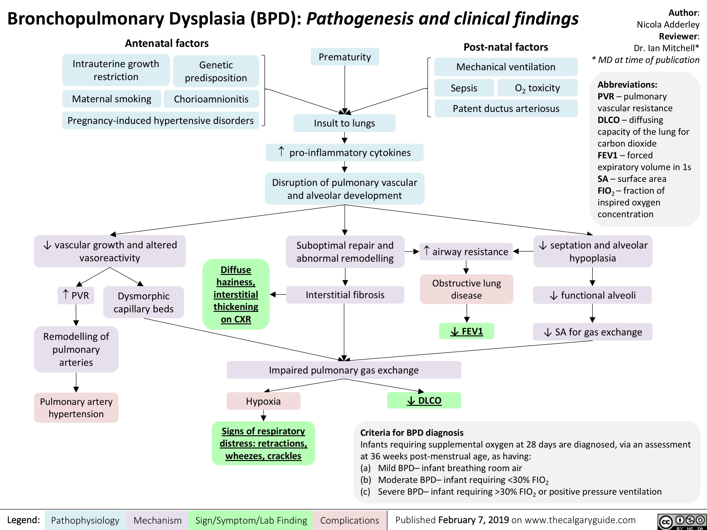 Bronchopulmonary Dysplasia Bpd Pathogenesis And Clinical Findings Calgary Guide