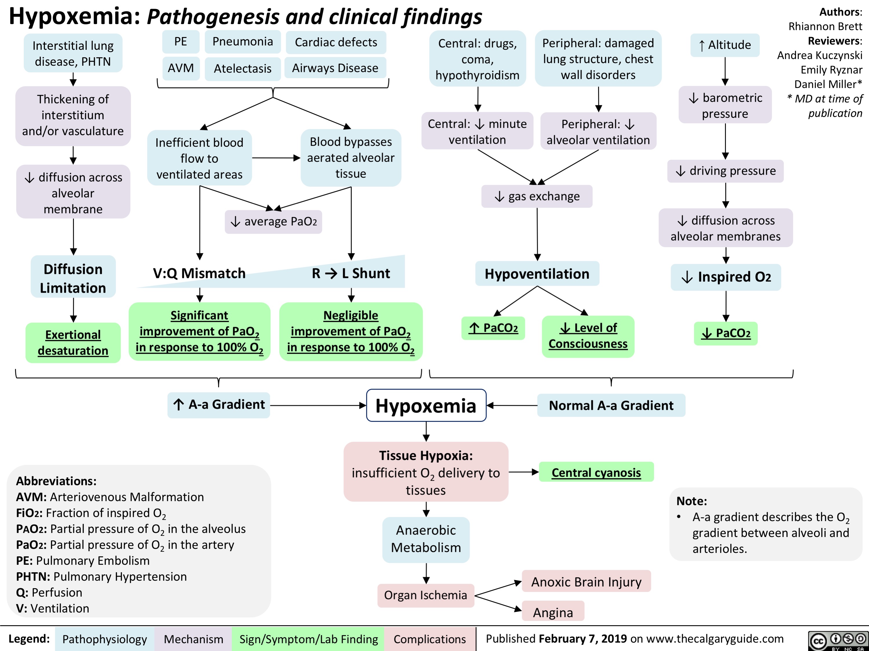 Hypoxemia- Pathogenesis and clinical findings interstitial lung disease pulmonary hypertension thickening of interstitium vasculature diffusion across alveolar membrane diffusion limitation exertional desaturation PE AVM pneumonia atelectasis cardiac defects airways disease inefficient blood flow ventilated areas blood bypasses aerated alveolar tissue V:Q mismatch R L shunt negligible significant improvement paO2 response 100% O2 Central drugs coma hypothyroidism peripheral damaged lung structure chest wall disorders minute ventilation alveolar gas exchange altitude barometric pressure driving pressure diffusion across membranes inspired 
a-a gradient hypoxemia tissue hypoxia cyanosis anaerobic metabolism organ brain anoxic angina 