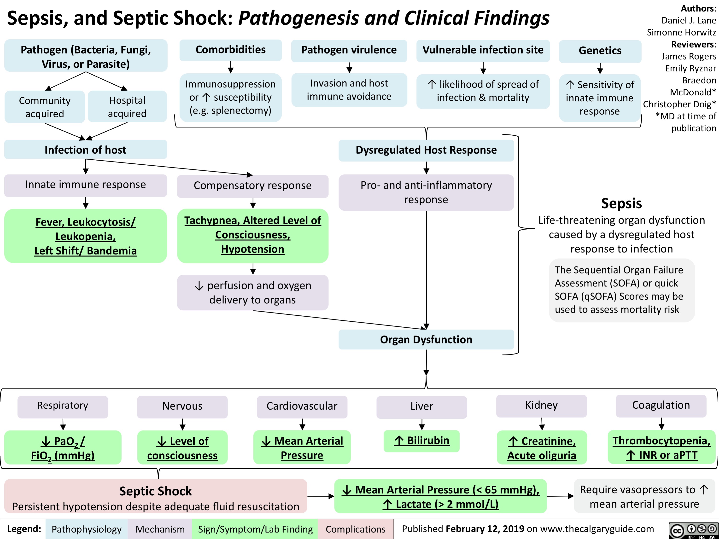 sepsis pathophysiology diagram