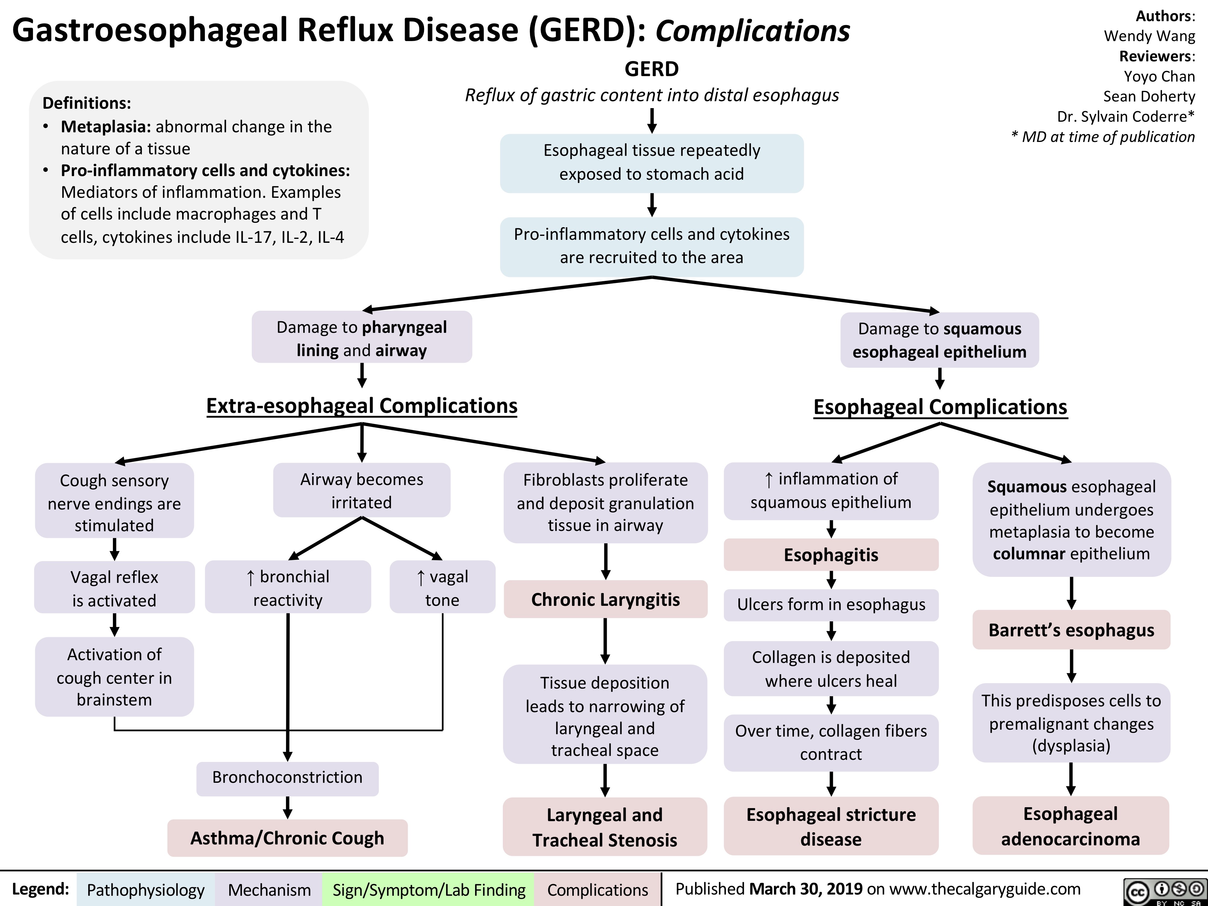 Gastroesophageal Reflux Disease (GERD): Complications
Esophageal stricture
disease
Esophagitis
Esophageal
adenocarcinoma
Barrett’s esophagus
GERD
Reflux of gastric content into distal esophagus
Damage to squamous
esophageal epithelium
Legend: Published March 30, 2019 on www.Pathophysiology Mechanism Sign/Symptom/Lab Finding Complications thecalgaryguide.com
Authors:
Wendy Wang
Reviewers:
Yoyo Chan
Sean Doherty
Dr. Sylvain Coderre*
* MD at time of publication
Squamous esophageal
epithelium undergoes
metaplasia to become
columnar epithelium
This predisposes cells to
premalignant changes
(dysplasia)
Collagen is deposited
where ulcers heal
Asthma/Chronic Cough
Chronic Laryngitis
Laryngeal and
Tracheal Stenosis
Extra-esophageal Complications Esophageal Complications
Airway becomes
irritated
Fibroblasts proliferate
and deposit granulation
tissue in airway
Tissue deposition
leads to narrowing of
laryngeal and
tracheal space
Damage to pharyngeal
lining and airway
Esophageal tissue repeatedly
exposed to stomach acid
Pro-inflammatory cells and cytokines
are recruited to the area
Definitions:
• Metaplasia: abnormal change in the
nature of a tissue
• Pro-inflammatory cells and cytokines:
Mediators of inflammation. Examples
of cells include macrophages and T
cells, cytokines include IL-17, IL-2, IL-4
Over time, collagen fibers
contract
Bronchoconstriction
↑ vagal
tone
↑ bronchial
reactivity
Cough sensory
nerve endings are
stimulated
Vagal reflex
is activated
Activation of
cough center in
brainstem
↑ inflammation of
squamous epithelium
Ulcers form in esophagus