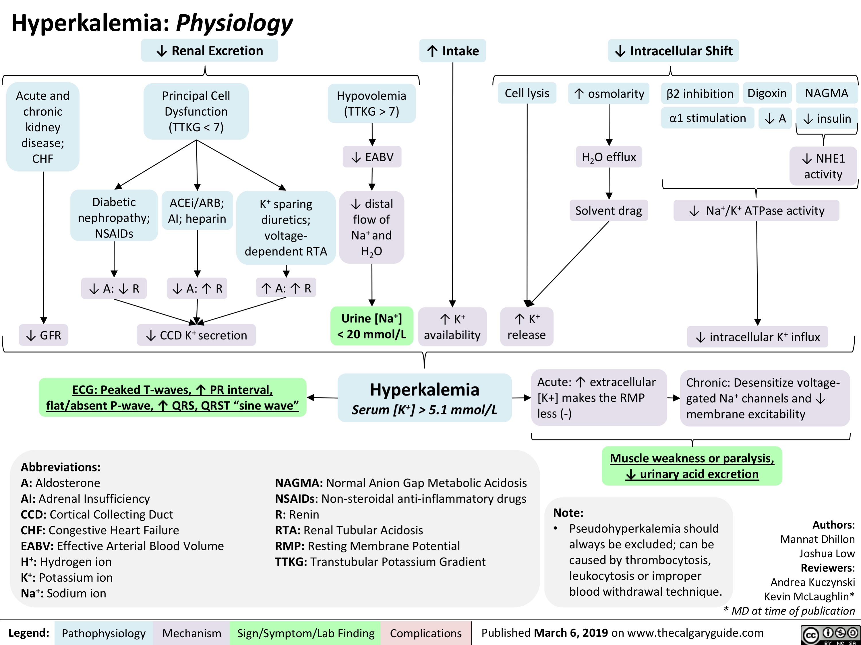 Hyperkalemia: Physiology ↓ Renal Excretion
↑ Intake
↓ Intracellular Shift
              Acute and chronic kidney disease; CHF
Principal Cell Dysfunction (TTKG < 7)
ACEi/ARB; AI; heparin
Hypovolemia (TTKG > 7)
↓ EABV
↓ distal flow of Na+ and H2O
Urine [Na+] < 20 mmol/L
Cell lysis
↑ osmolarity H2O efflux
Solvent drag
β2 inhibition α1 stimulation
Digoxin ↓ A
NAGMA ↓ insulin
↓ NHE1 activity
                   Diabetic nephropathy; NSAIDs
↓ A: ↓ R
K+ sparing diuretics; voltage- dependent RTA
↓ Na+/K+ ATPase activity
                ↓ GFR
↓ A: ↑ R ↑ A: ↑ R
↓ CCD K+ secretion
↑ K+ availability
↑ K+ release
↓ intracellular K+ influx
Chronic: Desensitize voltage- gated Na+ channels and ↓ membrane excitability
     ECG: Peaked T-waves, ↑ PR interval, flat/absent P-wave, ↑ QRS, QRST “sine wave”
Hyperkalemia
Serum [K+] > 5.1 mmol/L
Acute: ↑ extracellular [K+] makes the RMP less (-)
      Abbreviations:
A: Aldosterone
AI: Adrenal Insufficiency
CCD: Cortical Collecting Duct
CHF: Congestive Heart Failure
EABV: Effective Arterial Blood Volume H+: Hydrogen ion
K+: Potassium ion
Na+: Sodium ion
NAGMA: Normal Anion Gap Metabolic Acidosis
NSAIDs: Non-steroidal anti-inflammatory drugs Note:
Muscle weakness or paralysis, ↓ urinary acid excretion
 R: Renin
RTA: Renal Tubular Acidosis
RMP: Resting Membrane Potential TTKG: Transtubular Potassium Gradient
• Pseudohyperkalemia should always be excluded; can be caused by thrombocytosis, leukocytosis or improper blood withdrawal technique.
Authors: Mannat Dhillon Joshua Low Reviewers: Andrea Kuczynski Kevin McLaughlin* * MD at time of publication
 Legend:
 Pathophysiology
 Mechanism
Sign/Symptom/Lab Finding
  Complications
Published March 6, 2019 on www.thecalgaryguide.com
   