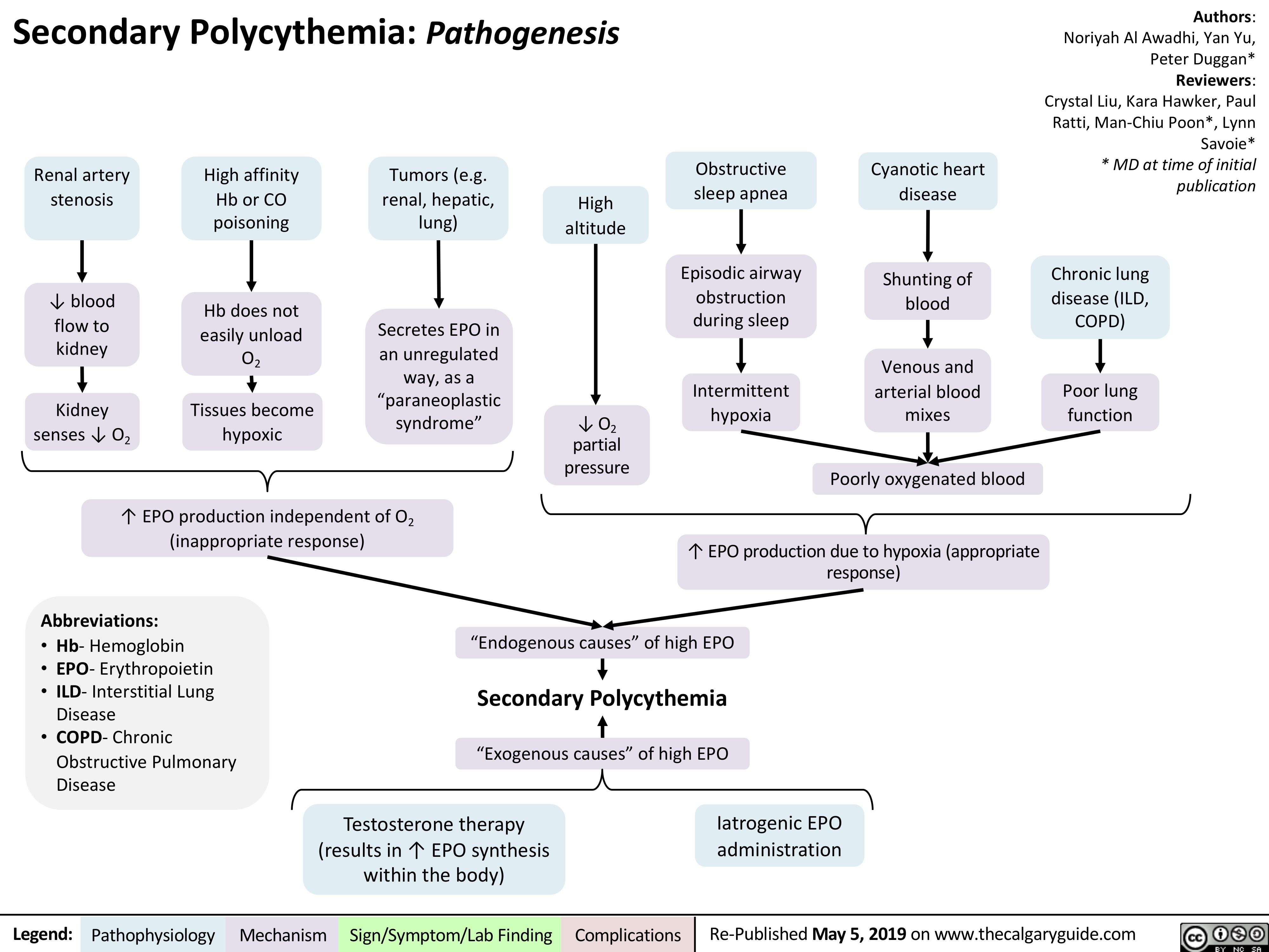 Secondary Polycythemia Pathogenesis Calgary Guide