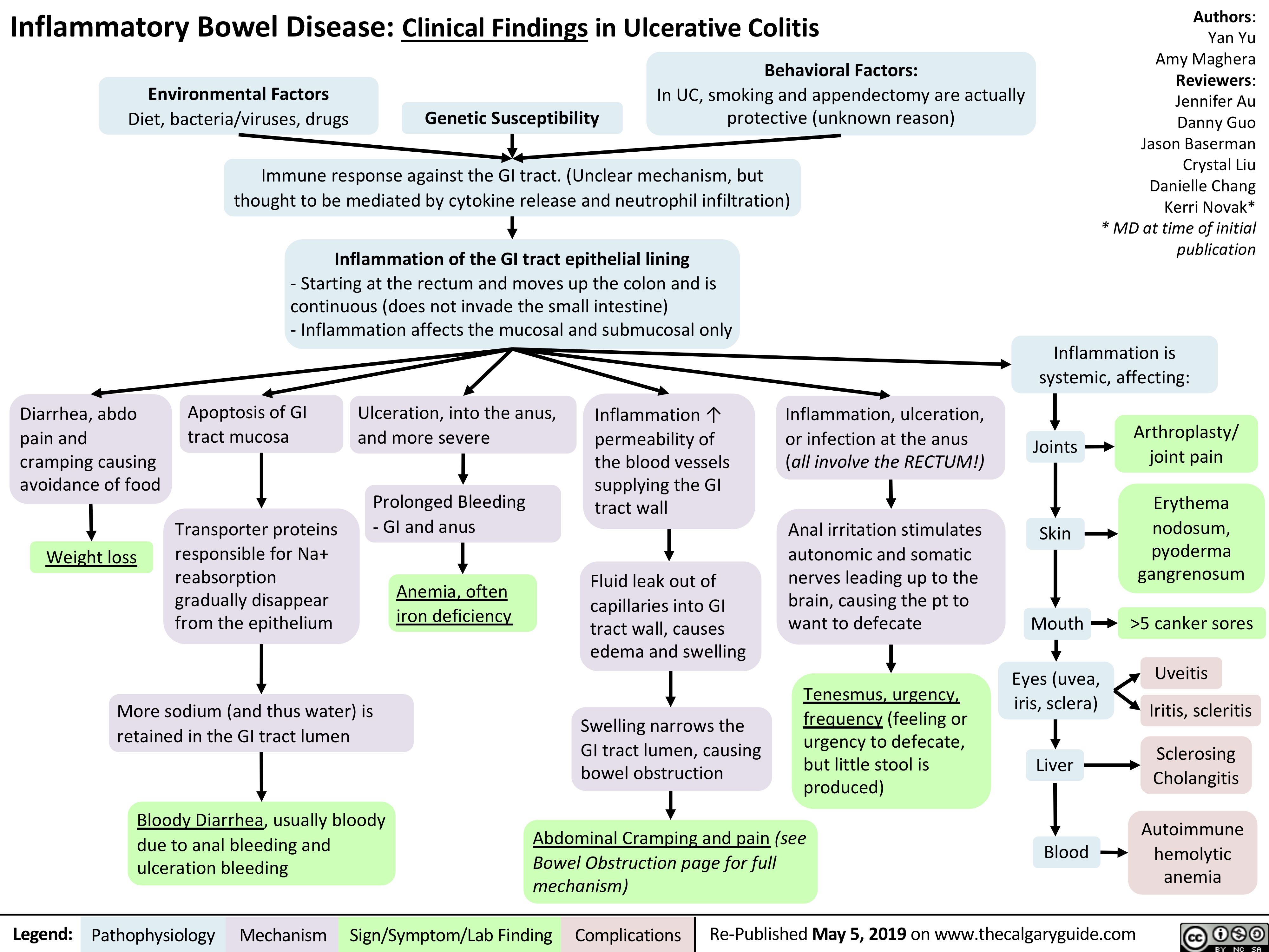 Inflammatory Bowel Disease: Clinical Findings in Ulcerative Colitis
Authors: Yan Yu Amy Maghera Reviewers: Jennifer Au Danny Guo Jason Baserman Crystal Liu Danielle Chang Kerri Novak* * MD at time of initial publication
Inflammation is systemic, affecting:
   Environmental Factors
Diet, bacteria/viruses, drugs
Genetic Susceptibility
Behavioral Factors:
In UC, smoking and appendectomy are actually protective (unknown reason)
     Immune response against the GI tract. (Unclear mechanism, but thought to be mediated by cytokine release and neutrophil infiltration)
  Inflammation of the GI tract epithelial lining
- Starting at the rectum and moves up the colon and is continuous (does not invade the small intestine)
- Inflammation affects the mucosal and submucosal only
        Diarrhea, abdo pain and cramping causing avoidance of food
Weight loss
Apoptosis of GI tract mucosa
Transporter proteins responsible for Na+ reabsorption gradually disappear from the epithelium
Ulceration, into the anus, and more severe
Prolonged Bleeding - GI and anus
Anemia, often iron deficiency
Inflammation ↑ permeability of the blood vessels supplying the GI tract wall
Fluid leak out of capillaries into GI tract wall, causes edema and swelling
Swelling narrows the GI tract lumen, causing bowel obstruction
Inflammation, ulceration, or infection at the anus (all involve the RECTUM!)
Anal irritation stimulates autonomic and somatic nerves leading up to the brain, causing the pt to want to defecate
Tenesmus, urgency, frequency (feeling or urgency to defecate, but little stool is produced)
Joints Skin
Arthroplasty/ joint pain
Erythema nodosum, pyoderma gangrenosum
                     Mouth       >5 canker sores
          More sodium (and thus water) is retained in the GI tract lumen
Bloody Diarrhea, usually bloody due to anal bleeding and ulceration bleeding
Abdominal Cramping and pain (see Bowel Obstruction page for full mechanism)
Eyes (uvea, iris, sclera)
Liver Blood
Uveitis
Iritis, scleritis
Sclerosing Cholangitis
Autoimmune hemolytic anemia
                Legend:
 Pathophysiology
 Mechanism
Sign/Symptom/Lab Finding
  Complications
Re-Published May 5, 2019 on www.thecalgaryguide.com
   