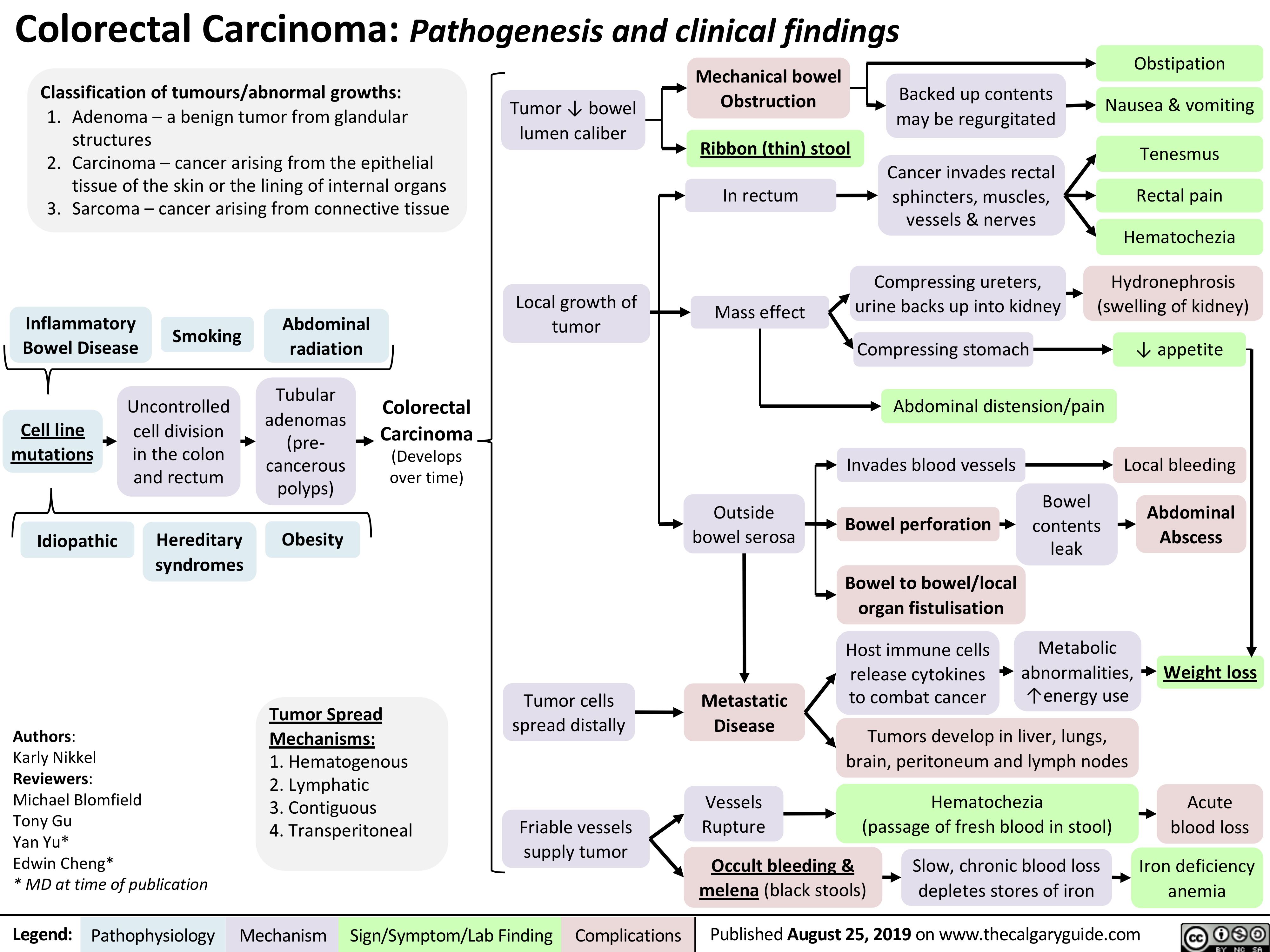 Colorectal Carcinoma: Pathogenesis and clinical findings
Obstipation Nausea & vomiting
Tenesmus Rectal pain Hematochezia
Hydronephrosis (swelling of kidney)
↓ appetite
Local bleeding
Abdominal Abscess
Weight loss
Acute blood loss
Iron deficiency anemia
     Classification of tumours/abnormal growths:
1. Adenoma–abenigntumorfromglandular structures
2. Carcinoma–cancerarisingfromtheepithelial tissue of the skin or the lining of internal organs
3. Sarcoma–cancerarisingfromconnectivetissue
Mechanical bowel Obstruction
Ribbon (thin) stool
In rectum
Mass effect
    Tumor ↓ bowel lumencaliber
Backed up contents mayberegurgitated
Cancerinvadesrectal sphincters, muscles, vessels&nerves
Compressing ureters, urine backs up into kidney
Compressing stomach
Abdominal distension/pain Invades blood vessels
                     Inflammatory
Bowel Disease Smoking
Abdominal radiation
Tubular adenomas
(pre- cancerous polyps)
Obesity
Local growth of tumor
             Cell line mutations
Idiopathic
Uncontrolled cell division in the colon and rectum
Hereditary syndromes
Colorectal Carcinoma
(Develops over time)
            Outside bowel serosa
Bowel perforation
Bowel to bowel/local organ fistulisation
Host immune cells release cytokines to combat cancer
Bowel contents leak
Metabolic abnormalities, ↑energy use
                     Tumor Spread Mechanisms:
1. Hematogenous 2. Lymphatic
3. Contiguous
4. Transperitoneal
Tumor cells spread distally
Friable vessels supply tumor
Metastatic Disease
Vessels Rupture
Occult bleeding &
melena (black stools) depletes stores of iron
  Authors:
Karly Nikkel
Reviewers:
Michael Blomfield
Tony Gu
Yan Yu*
Edwin Cheng*
* MD at time of publication
Tumors develop in liver, lungs, brain, peritoneum and lymph nodes
Hematochezia (passage of fresh blood in stool)
          Slow, chronic blood loss
  Legend:
 Pathophysiology
Mechanism
Sign/Symptom/Lab Finding
  Complications
Published August 25, 2019 on www.thecalgaryguide.com
    