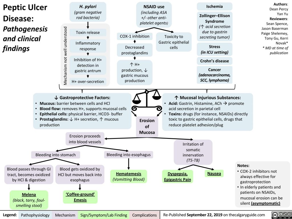 peptic-ulcer-disease-calgary-guide