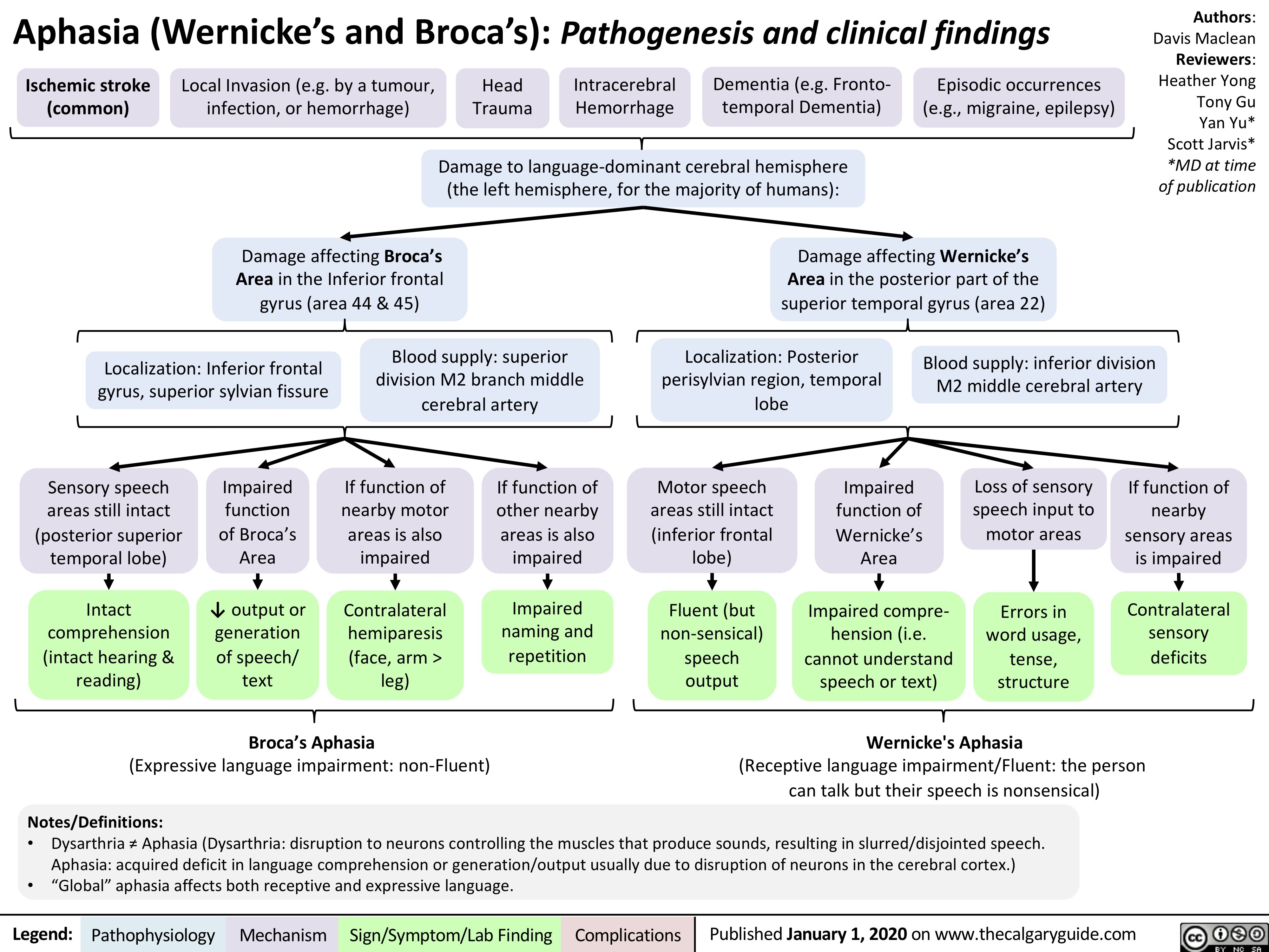 Aphasia (Wernicke’s and Broca’s): Pathogenesis and clinical findings
Authors: Davis Maclean Reviewers: Heather Yong Tony Gu Yan Yu* Scott Jarvis* *MD at time of publication
      Ischemic stroke (common)
Local Invasion (e.g. by a tumour, Head infection, or hemorrhage) Trauma
Intracerebral Hemorrhage
Dementia (e.g. Fronto- temporal Dementia)
Episodic occurrences (e.g., migraine, epilepsy)
  Damage to language-dominant cerebral hemisphere (the left hemisphere, for the majority of humans):
   Damage affecting Broca’s Area in the Inferior frontal gyrus (area 44 & 45)
Damage affecting Wernicke’s Area in the posterior part of the superior temporal gyrus (area 22)
      Localization: Inferior frontal gyrus, superior sylvian fissure
Blood supply: superior division M2 branch middle cerebral artery
Localization: Posterior perisylvian region, temporal lobe
Blood supply: inferior division M2 middle cerebral artery
             Sensory speech
areas still intact (posterior superior temporal lobe)
Intact comprehension (intact hearing & reading)
Impaired function of Broca’s Area
↓ output or generation of speech/ text
If function of nearby motor areas is also impaired
Contralateral hemiparesis (face, arm > leg)
If function of other nearby areas is also impaired
Impaired naming and repetition
Motor speech areas still intact (inferior frontal lobe)
Fluent (but non-sensical) speech output
Impaired function of Wernicke’s Area
Impaired compre- hension (i.e. cannot understand speech or text)
Loss of sensory speech input to motor areas
Errors in word usage, tense, structure
If function of nearby sensory areas is impaired
Contralateral sensory deficits
                  Broca’s Aphasia
Wernicke's Aphasia
(Expressive language impairment: non-Fluent)
Notes/Definitions:
(Receptive language impairment/Fluent: the person can talk but their speech is nonsensical)
 • Dysarthria ≠ Aphasia (Dysarthria: disruption to neurons controlling the muscles that produce sounds, resulting in slurred/disjointed speech. Aphasia: acquired deficit in language comprehension or generation/output usually due to disruption of neurons in the cerebral cortex.)
• “Global” aphasia affects both receptive and expressive language.
 Legend:
 Pathophysiology
 Mechanism
Sign/Symptom/Lab Finding
  Complications
Published January 1, 2020 on www.thecalgaryguide.com
   