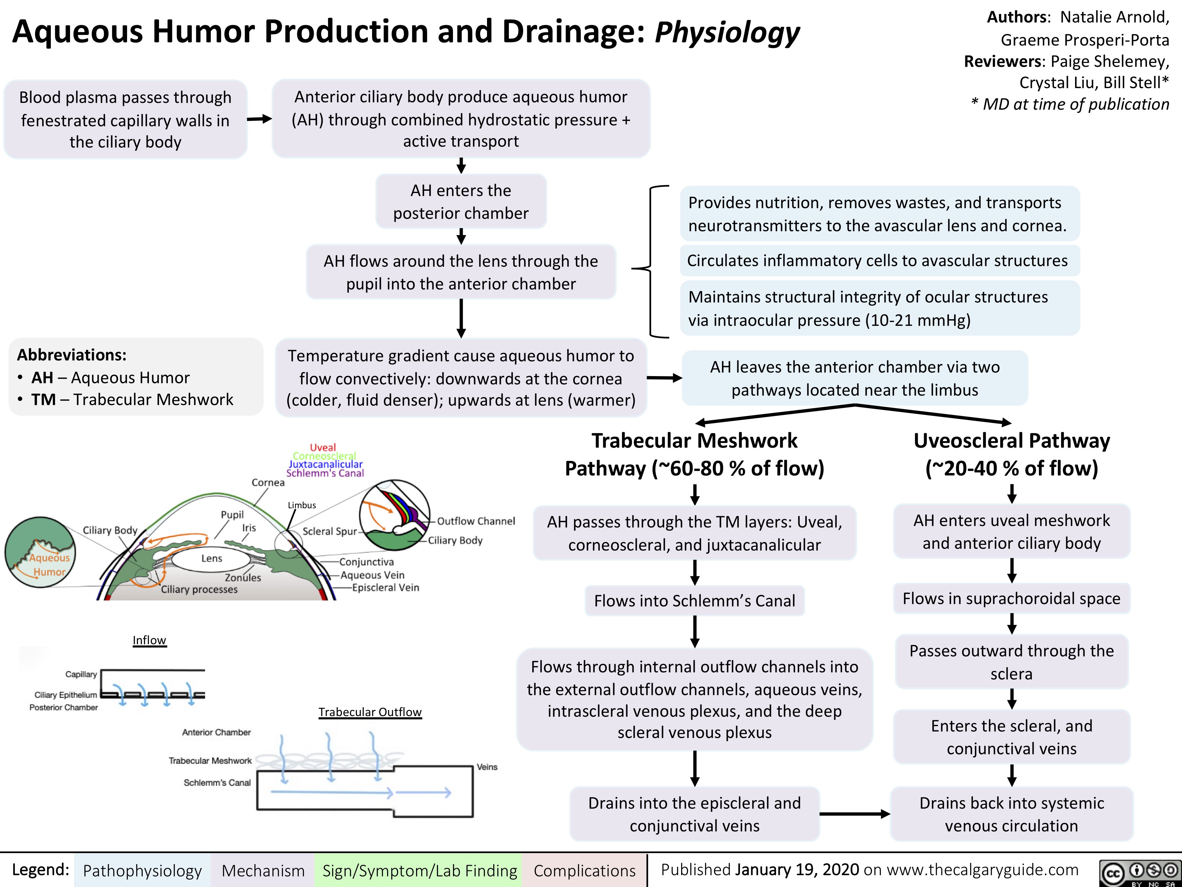 Aqueous Humor Production and Drainage: Physiology
Authors: Natalie Arnold, Graeme Prosperi-Porta Reviewers: Paige Shelemey, Crystal Liu, Bill Stell* * MD at time of publication
  Blood plasma passes through fenestrated capillary walls in the ciliary body
Anterior ciliary body produce aqueous humor (AH) through combined hydrostatic pressure + active transport
AH enters the posterior chamber
AH flows around the lens through the pupil into the anterior chamber
Temperature gradient cause aqueous humor to flow convectively: downwards at the cornea (colder, fluid denser); upwards at lens (warmer)
           Abbreviations:
• AH – Aqueous Humor
• TM – Trabecular Meshwork
Provides nutrition, removes wastes, and transports neurotransmitters to the avascular lens and cornea.
Circulates inflammatory cells to avascular structures
Maintains structural integrity of ocular structures via intraocular pressure (10-21 mmHg)
AH leaves the anterior chamber via two pathways located near the limbus
       Limbus
Trabecular Meshwork Pathway (~60-80 % of flow)
AH passes through the TM layers: Uveal, corneoscleral, and juxtacanalicular
Flows into Schlemm’s Canal
Flows through internal outflow channels into the external outflow channels, aqueous veins, intrascleral venous plexus, and the deep scleral venous plexus
Drains into the episcleral and conjunctival veins
Uveoscleral Pathway (~20-40 % of flow)
AH enters uveal meshwork and anterior ciliary body
Flows in suprachoroidal space
Passes outward through the sclera
Enters the scleral, and conjunctival veins
Drains back into systemic venous circulation
         Inflow
     Trabecular Outflow
        Legend:
 Pathophysiology
 Mechanism
 Sign/Symptom/Lab Finding
 Complications
Published January 19, 2020 on www.thecalgaryguide.com
  