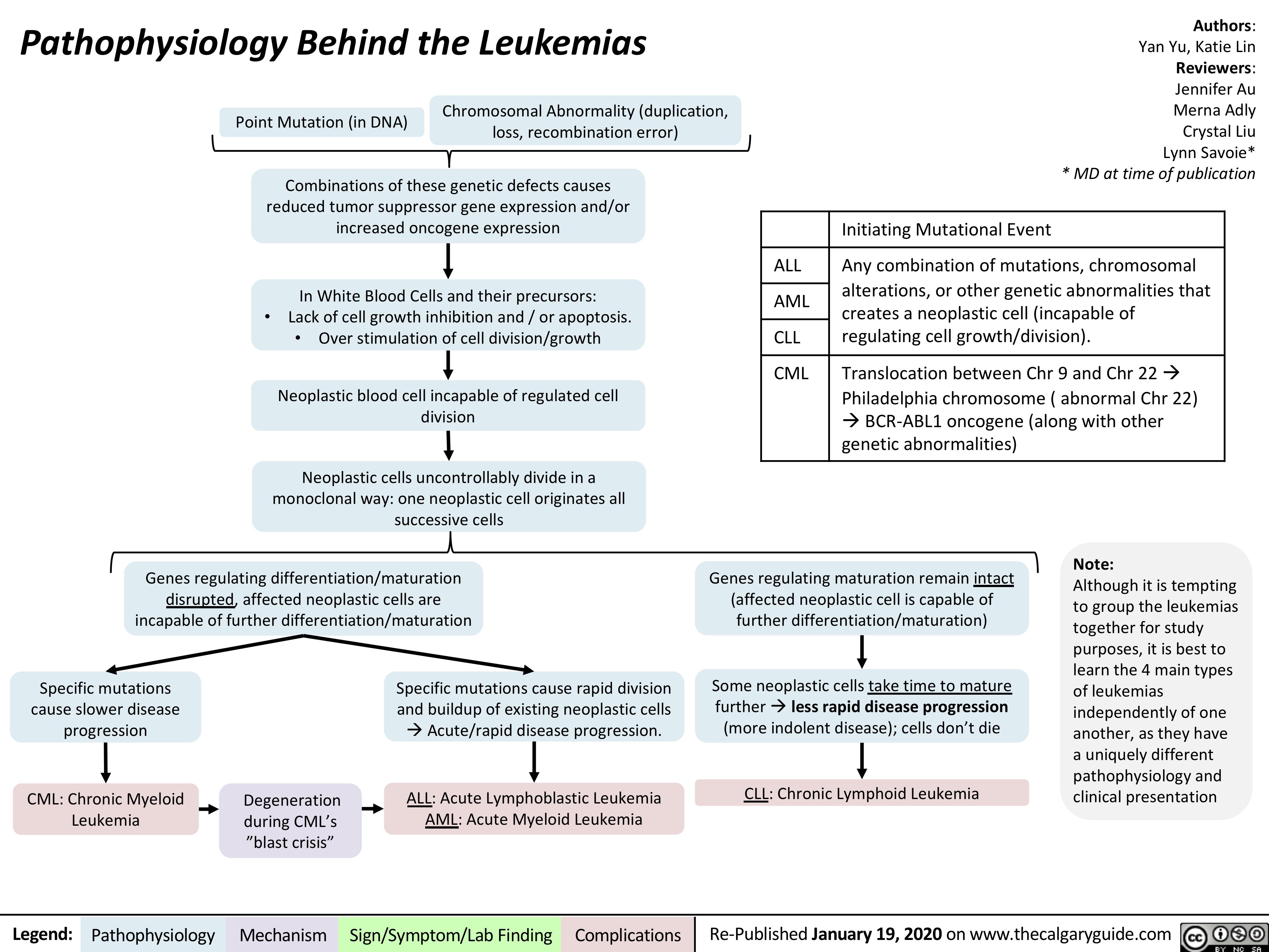 Pathophysiology Behind the Leukemias
Authors: Yan Yu, Katie Lin Reviewers: Jennifer Au Merna Adly Crystal Liu Lynn Savoie* * MD at time of publication
  Point Mutation (in DNA)
Chromosomal Abnormality (duplication, loss, recombination error)
  Combinations of these genetic defects causes reduced tumor suppressor gene expression and/or increased oncogene expression
    Initiating Mutational Event
ALL
Any combination of mutations, chromosomal
alterations, or other genetic abnormalities that creates a neoplastic cell (incapable of regulating cell growth/division).
 AML
 CLL
CML
Translocation between Chr 9 and Chr 22à Philadelphia chromosome ( abnormal Chr 22)
àBCR-ABL1 oncogene (along with other genetic abnormalities)
   •
In White Blood Cells and their precursors: Lack of cell growth inhibition and / or apoptosis.
• Over stimulation of cell division/growth Neoplastic blood cell incapable of regulated cell
division
Neoplastic cells uncontrollably divide in a monoclonal way: one neoplastic cell originates all successive cells
          Genes regulating differentiation/maturation disrupted, affected neoplastic cells are incapable of further differentiation/maturation
Genes regulating maturation remain intact (affected neoplastic cell is capable of further differentiation/maturation)
Some neoplastic cells take time to mature furtheràless rapid disease progression (more indolent disease); cells don’t die
CLL: Chronic Lymphoid Leukemia
Note:
Although it is tempting to group the leukemias together for study purposes, it is best to learn the 4 main types of leukemias independently of one another, as they have a uniquely different pathophysiology and clinical presentation
        Specific mutations cause slower disease progression
CML: Chronic Myeloid Leukemia
Degeneration during CML’s ”blast crisis”
Specific mutations cause rapid division and buildup of existing neoplastic cells àAcute/rapid disease progression.
ALL: Acute Lymphoblastic Leukemia AML: Acute Myeloid Leukemia
              Legend:
 Pathophysiology
Mechanism
Sign/Symptom/Lab Finding
  Complications
Re-Published January 19, 2020 on www.thecalgaryguide.com
    