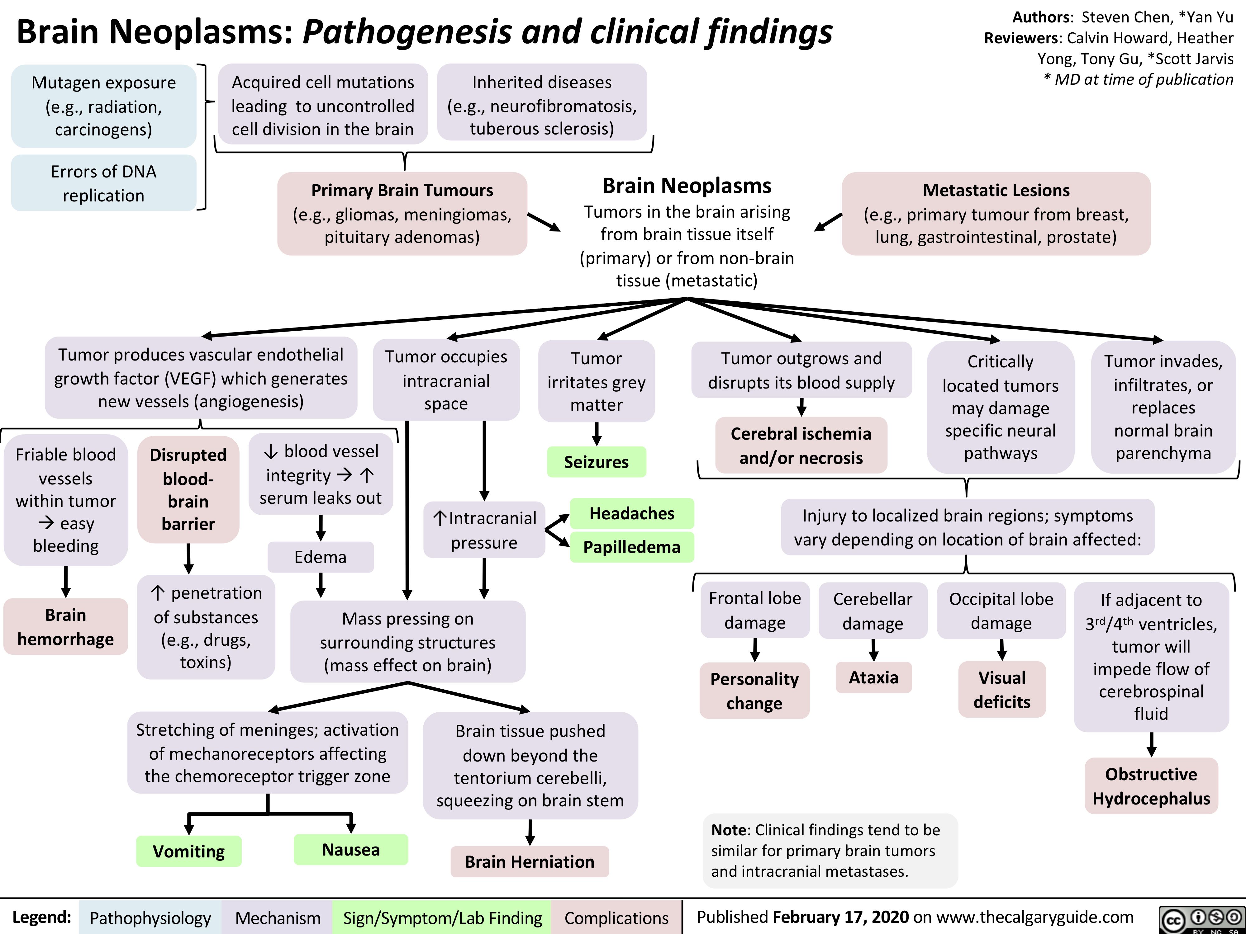 Brain Neoplasms: Pathogenesis and clinical findings
Authors: Steven Chen, *Yan Yu Reviewers: Calvin Howard, Heather Yong, Tony Gu, *Scott Jarvis * MD at time of publication
Metastatic Lesions
(e.g., primary tumour from breast, lung, gastrointestinal, prostate)
    Mutagen exposure (e.g., radiation, carcinogens)
Errors of DNA replication
Acquired cell mutations leading to uncontrolled cell division in the brain
Inherited diseases (e.g., neurofibromatosis, tuberous sclerosis)
    Primary Brain Tumours
(e.g., gliomas, meningiomas, pituitary adenomas)
Brain Neoplasms
Tumors in the brain arising from brain tissue itself (primary) or from non-brain tissue (metastatic)
              Tumor produces vascular endothelial growth factor (VEGF) which generates new vessels (angiogenesis)
Tumor occupies intracranial space
↑Intracranial pressure
Tumor irritates grey matter
Seizures
Headaches Papilledema
Tumor outgrows and disrupts its blood supply
Cerebral ischemia and/or necrosis
Critically located tumors may damage specific neural pathways
Tumor invades, infiltrates, or replaces normal brain parenchyma
        Friable blood vessels within tumor àeasy bleeding
Brain hemorrhage
Disrupted blood- brain barrier
↓ blood vessel integrity à ↑ serum leaks out
Edema
Injury to localized brain regions; symptoms vary depending on location of brain affected:
                ↑ penetration of substances
(e.g., drugs, toxins)
Mass pressing on surrounding structures (mass effect on brain)
Frontal lobe damage
Personality change
Cerebellar damage
Ataxia
Occipital lobe damage
Visual deficits
If adjacent to 3rd/4th ventricles,
tumor will impede flow of cerebrospinal fluid
Obstructive Hydrocephalus
                Stretching of meninges; activation of mechanoreceptors affecting the chemoreceptor trigger zone
Vomiting Nausea
Brain tissue pushed down beyond the
tentorium cerebelli, squeezing on brain stem
Brain Herniation
Note: Clinical findings tend to be similar for primary brain tumors and intracranial metastases.
         Legend:
 Pathophysiology
Mechanism
Sign/Symptom/Lab Finding
  Complications
Published February 17, 2020 on www.thecalgaryguide.com
    