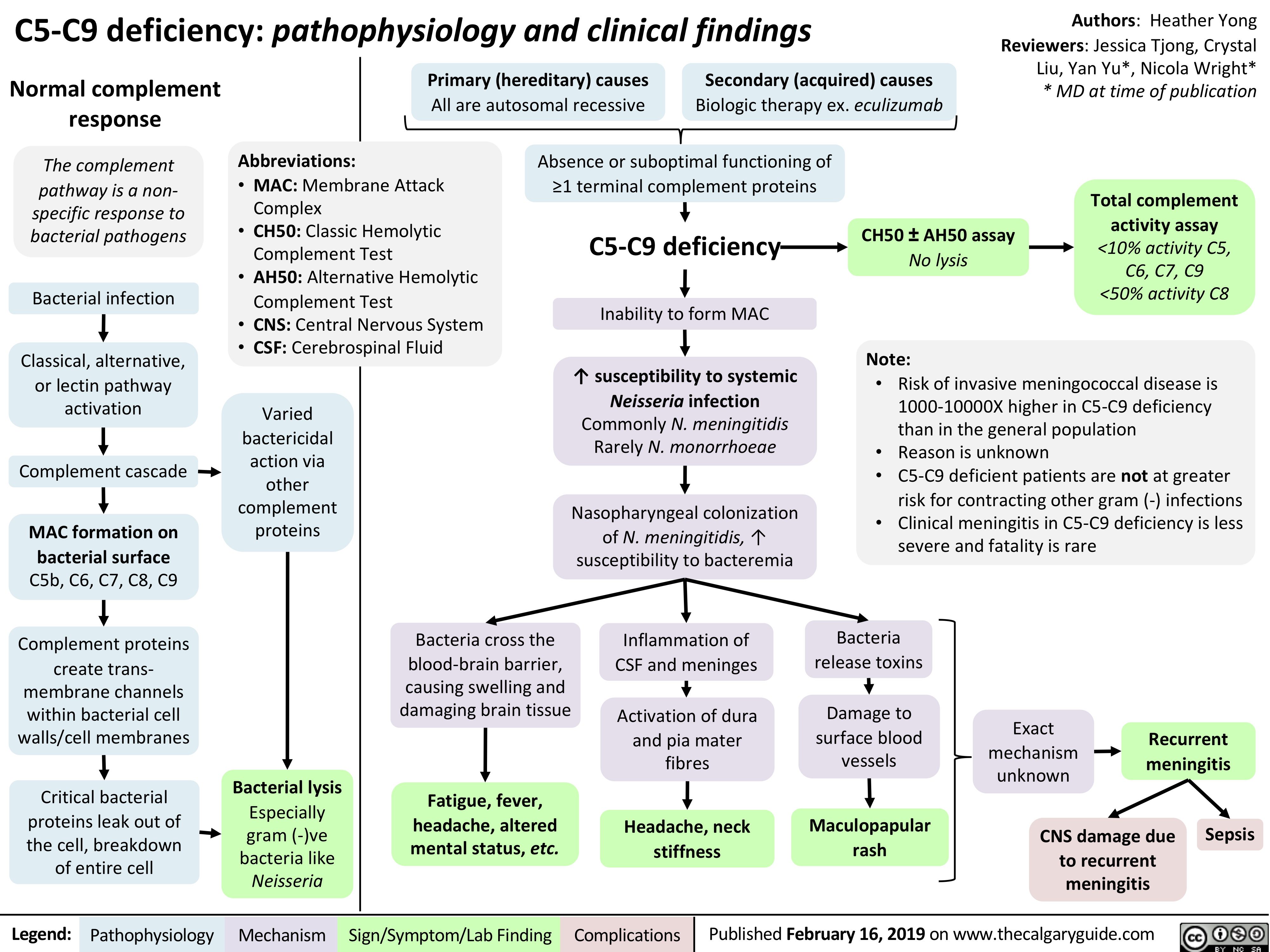 C5-C9 deficiency: pathophysiology and clinical findings
Authors: Heather Yong Reviewers: Jessica Tjong, Crystal Liu, Yan Yu*, Nicola Wright* * MD at time of publication
   Normal complement response
The complement pathway is a non- specific response to bacterial pathogens
Bacterial infection
Classical, alternative, or lectin pathway activation
Complement cascade
MAC formation on bacterial surface C5b, C6, C7, C8, C9
Complement proteins create trans-
membrane channels within bacterial cell walls/cell membranes
Critical bacterial proteins leak out of the cell, breakdown of entire cell
Primary (hereditary) causes Secondary (acquired) causes
All are autosomal recessive Biologic therapy ex. eculizumab Absence or suboptimal functioning of
    Abbreviations:
• MAC: Membrane Attack
Complex
• CH50: Classic Hemolytic
Complement Test
• AH50: Alternative Hemolytic
Complement Test
• CNS: Central Nervous System • CSF: Cerebrospinal Fluid
≥1 terminal complement proteins
C5-C9 deficiency
Inability to form MAC
↑ susceptibility to systemic Neisseria infection
Commonly N. meningitidis Rarely N. monorrhoeae
Nasopharyngeal colonization of N. meningitidis, ↑ susceptibility to bacteremia
CH50 ± AH50 assay No lysis
Note:
Total complement activity assay <10% activity C5, C6, C7, C9 <50% activity C8
              Varied bactericidal action via other complement proteins
• Risk of invasive meningococcal disease is 1000-10000X higher in C5-C9 deficiency than in the general population
• Reason is unknown
• C5-C9 deficient patients are not at greater
risk for contracting other gram (-) infections • Clinical meningitis in C5-C9 deficiency is less
       severe and fatality is rare
                   Bacterial lysis
Especially gram (-)ve bacteria like Neisseria
Bacteria cross the blood-brain barrier, causing swelling and damaging brain tissue
Fatigue, fever, headache, altered mental status, etc.
Inflammation of CSF and meninges
Activation of dura and pia mater fibres
Headache, neck stiffness
Bacteria release toxins
Damage to surface blood vessels
Maculopapular rash
Exact mechanism unknown
Recurrent meningitis
         CNS damage due Sepsis to recurrent
meningitis
  Legend:
 Pathophysiology
Mechanism
Sign/Symptom/Lab Finding
  Complications
Published February 16, 2019 on www.thecalgaryguide.com
    