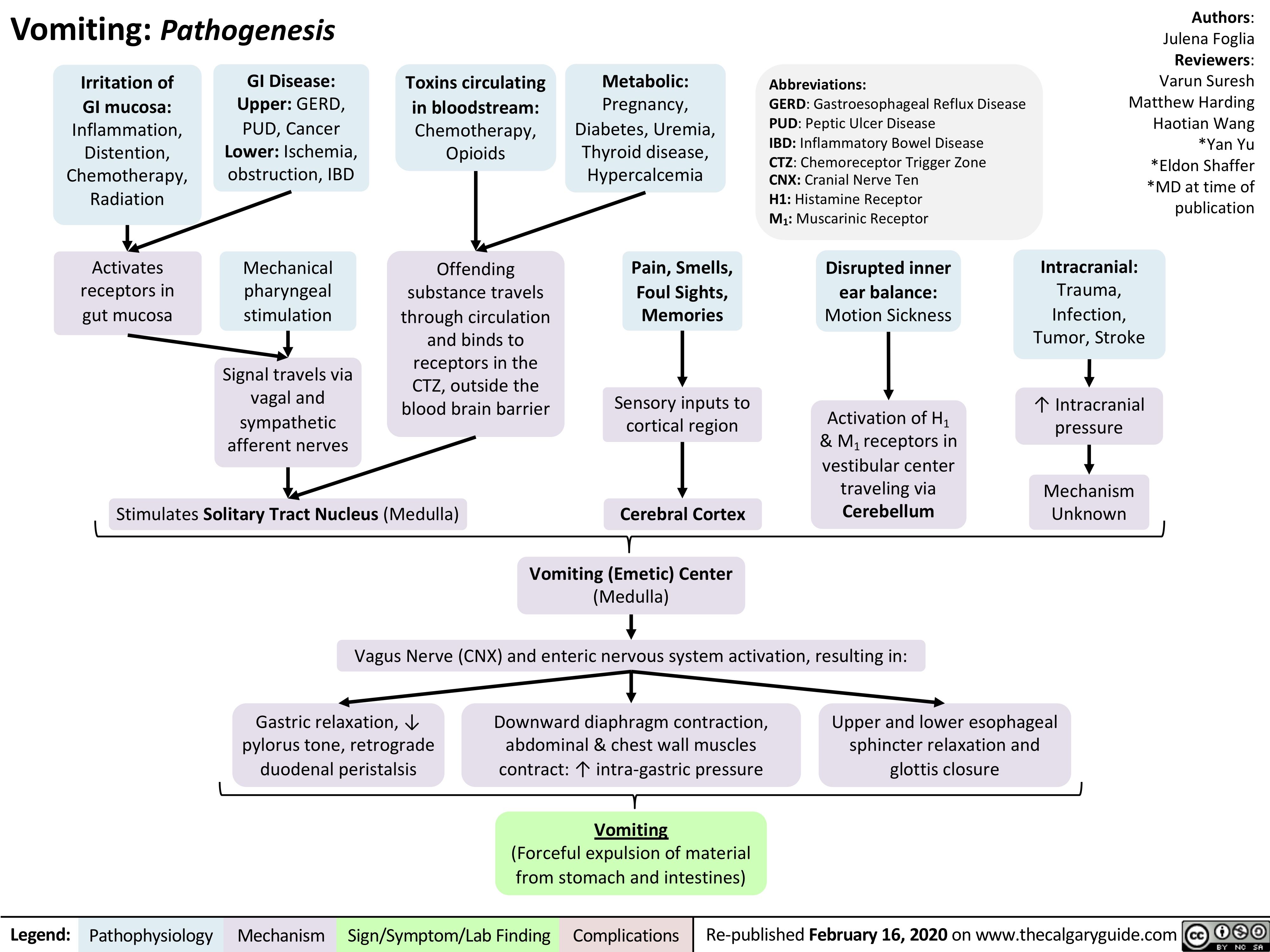 Vomiting: Pathogenesis
Authors: Julena Foglia Reviewers: Varun Suresh Matthew Harding Haotian Wang *Yan Yu *Eldon Shaffer *MD at time of publication
Intracranial:
Trauma, Infection, Tumor, Stroke
↑ Intracranial pressure
Mechanism Unknown
     Irritation of GI mucosa: Inflammation, Distention, Chemotherapy, Radiation
Activates receptors in gut mucosa
GI Disease: Upper: GERD, PUD, Cancer Lower: Ischemia, obstruction, IBD
Mechanical pharyngeal stimulation
Signal travels via vagal and sympathetic afferent nerves
Metabolic:
Pregnancy, Diabetes, Uremia,
Thyroid disease, Hypercalcemia
Pain, Smells, Foul Sights, Memories
Sensory inputs to cortical region
Cerebral Cortex
Vomiting (Emetic) Center
Toxins circulating in bloodstream: Chemotherapy, Opioids
Offending substance travels through circulation and binds to receptors in the CTZ, outside the blood brain barrier
Abbreviations:
GERD: Gastroesophageal Reflux Disease PUD: Peptic Ulcer Disease
IBD: Inflammatory Bowel Disease
CTZ: Chemoreceptor Trigger Zone
CNX: Cranial Nerve Ten
H1: Histamine Receptor
M1: Muscarinic Receptor
Disrupted inner ear balance: Motion Sickness
Activation of H1 & M1 receptors in vestibular center traveling via Cerebellum
                        Stimulates Solitary Tract Nucleus (Medulla)
  (Medulla)
Vagus Nerve (CNX) and enteric nervous system activation, resulting in:
        Gastric relaxation, ↓ pylorus tone, retrograde duodenal peristalsis
Downward diaphragm contraction, abdominal & chest wall muscles contract: ↑ intra-gastric pressure
Vomiting
(Forceful expulsion of material from stomach and intestines)
Upper and lower esophageal sphincter relaxation and glottis closure
    Legend:
 Pathophysiology
Mechanism
Sign/Symptom/Lab Finding
  Complications
 Re-published February 16, 2020 on www.thecalgaryguide.com
   