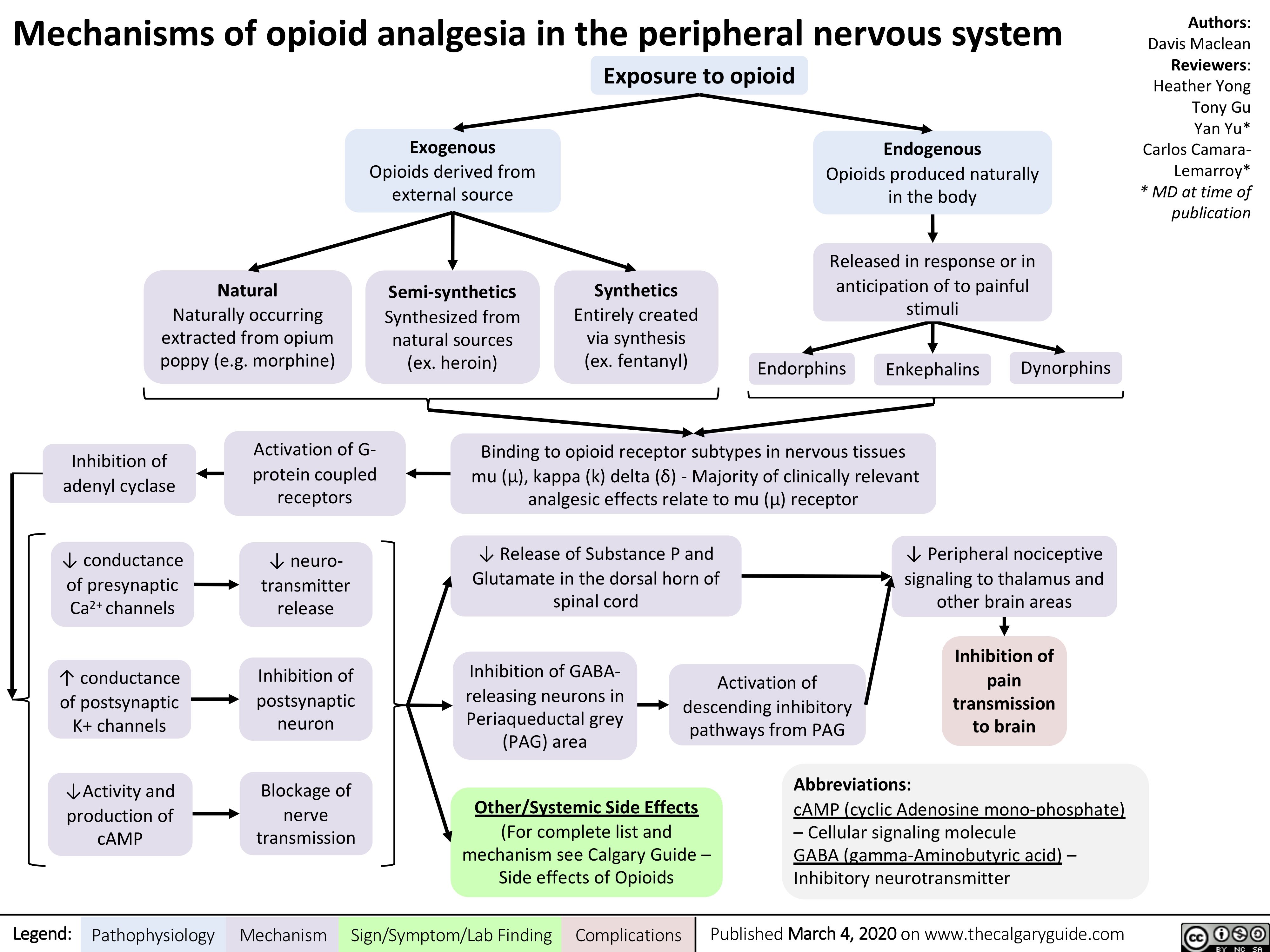 Mechanisms of opioid analgesia in the peripheral nervous system
Authors: Davis Maclean Reviewers: Heather Yong Tony Gu Yan Yu* Carlos Camara- Lemarroy* * MD at time of publication
 Exposure to opioid
         Natural
Naturally occurring extracted from opium poppy (e.g. morphine)
Exogenous
Opioids derived from external source
Semi-synthetics
Synthesized from natural sources (ex. heroin)
Synthetics
Entirely created via synthesis (ex. fentanyl)
Endogenous
Opioids produced naturally in the body
Released in response or in anticipation of to painful stimuli
   Endorphins
Enkephalins
Dynorphins
     Inhibition of adenyl cyclase
↓ conductance of presynaptic Ca2+ channels
↑ conductance of postsynaptic K+ channels
↓Activity and production of cAMP
Activation of G- protein coupled receptors
↓ neuro- transmitter release
Inhibition of postsynaptic neuron
Blockage of nerve transmission
Binding to opioid receptor subtypes in nervous tissues mu (μ), kappa (k) delta (δ) - Majority of clinically relevant analgesic effects relate to mu (μ) receptor
        ↓ Release of Substance P and Glutamate in the dorsal horn of spinal cord
↓ Peripheral nociceptive signaling to thalamus and other brain areas
Inhibition of pain transmission to brain
          Inhibition of GABA- releasing neurons in Periaqueductal grey (PAG) area
Activation of descending inhibitory pathways from PAG
          Other/Systemic Side Effects
(For complete list and mechanism see Calgary Guide – Side effects of Opioids
Abbreviations:
cAMP (cyclic Adenosine mono-phosphate) – Cellular signaling molecule
GABA (gamma-Aminobutyric acid) – Inhibitory neurotransmitter
     Legend:
 Pathophysiology
Mechanism
Sign/Symptom/Lab Finding
  Complications
Published March 4, 2020 on www.thecalgaryguide.com
    