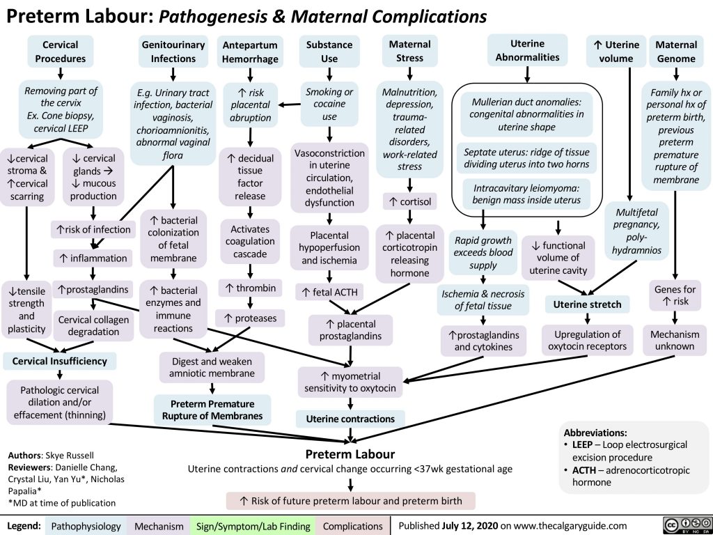 Preterm Labour: Pathogenesis & Maternal Complications | Calgary Guide