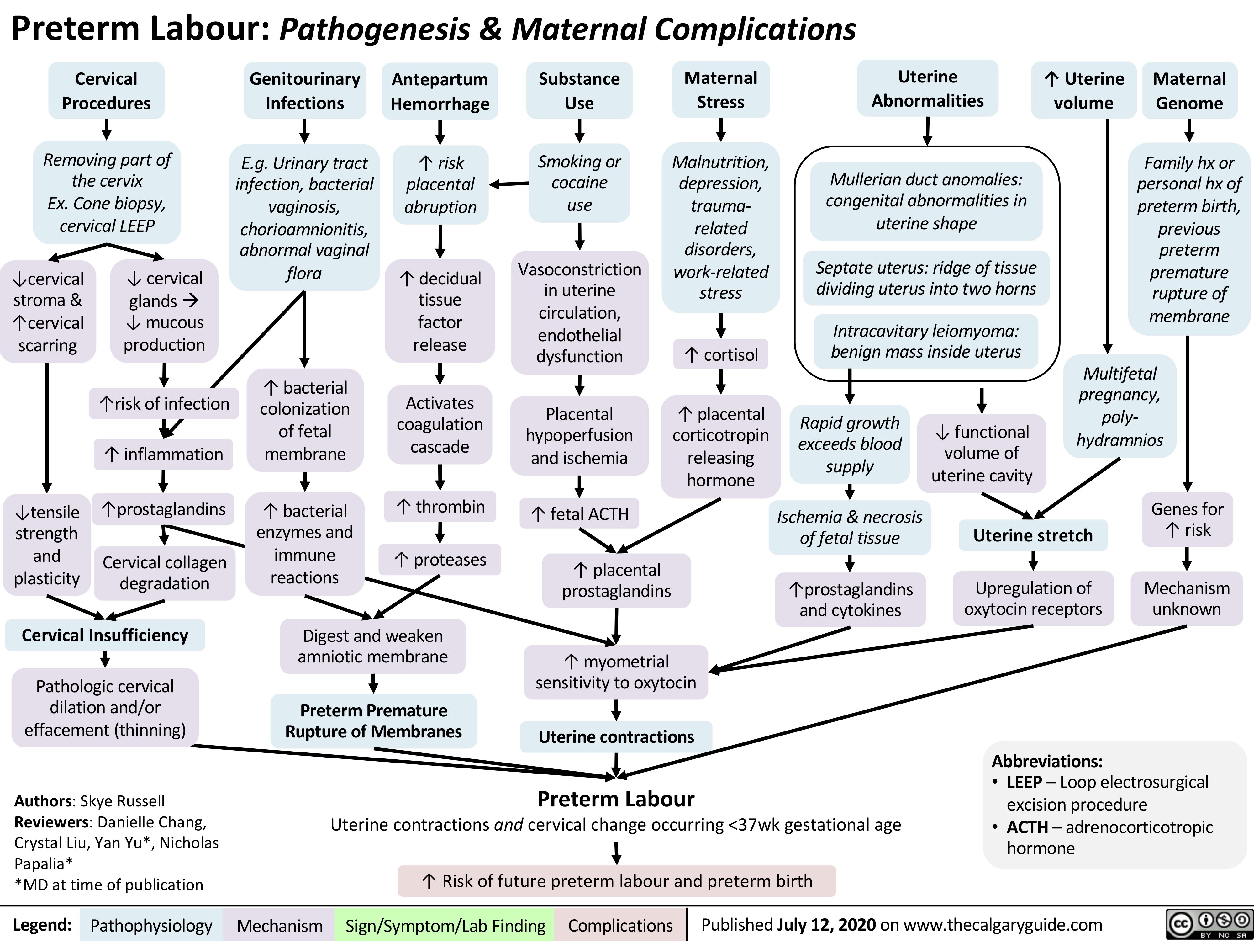Preterm Labour: Pathogenesis & Maternal Complications
        Cervical Procedures
Removing part of the cervix
Ex. Cone biopsy, cervical LEEP
Genitourinary Infections
E.g. Urinary tract infection, bacterial vaginosis, chorioamnionitis, abnormal vaginal flora
↑ bacterial colonization of fetal membrane
↑ bacterial enzymes and immune reactions
Antepartum Hemorrhage
↑ risk placental abruption
↑ decidual tissue factor release
Activates coagulation cascade
↑ thrombin ↑ proteases
Substance Use
Smoking or cocaine use
Vasoconstriction in uterine circulation, endothelial dysfunction
Placental hypoperfusion and ischemia
↑ fetal ACTH
↑ placental prostaglandins
Maternal Stress
Malnutrition, depression, trauma- related disorders, work-related stress
↑ cortisol
↑ placental corticotropin releasing hormone
Uterine Abnormalities
Mullerian duct anomalies: congenital abnormalities in uterine shape
Septate uterus: ridge of tissue dividing uterus into two horns
Intracavitary leiomyoma: benign mass inside uterus
↑ Uterine volume
Maternal Genome
Family hx or personal hx of preterm birth, previous preterm premature rupture of membrane
                        ↓cervical stroma & ↑cervical scarring
↓ cervical glandsà ↓ mucous production
↑risk of infection ↑ inflammation
↑prostaglandins
Cervical collagen degradation
                   Rapid growth exceeds blood supply
Ischemia & necrosis of fetal tissue
↑prostaglandins and cytokines
↓ functional volume of uterine cavity
Multifetal pregnancy, poly- hydramnios
               ↓tensile strength and plasticity
Uterine stretch
Upregulation of oxytocin receptors
Genes for ↑ risk
Mechanism unknown
                      Cervical Insufficiency
Pathologic cervical dilation and/or effacement (thinning)
Authors: Skye Russell Reviewers: Danielle Chang, Crystal Liu, Yan Yu*, Nicholas Papalia*
*MD at time of publication
Digest and weaken amniotic membrane
Preterm Premature Rupture of Membranes
↑ myometrial sensitivity to oxytocin
Uterine contractions Preterm Labour
           Uterine contractions and cervical change occurring <37wk gestational age ↑ Risk of future preterm labour and preterm birth
Abbreviations:
• LEEP – Loop electrosurgical
excision procedure
• ACTH – adrenocorticotropic
hormone
   Legend:
 Pathophysiology
Mechanism
Sign/Symptom/Lab Finding
  Complications
 Published July 12, 2020 on www.thecalgaryguide.com
   